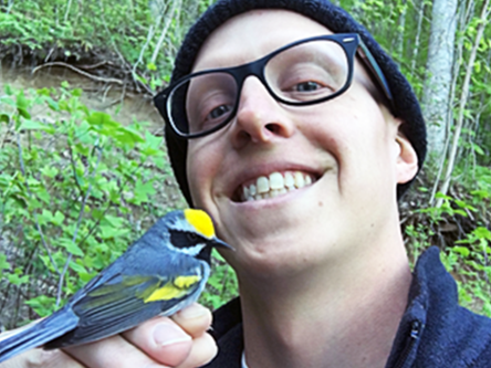 Clifton-Bird-Forest.png