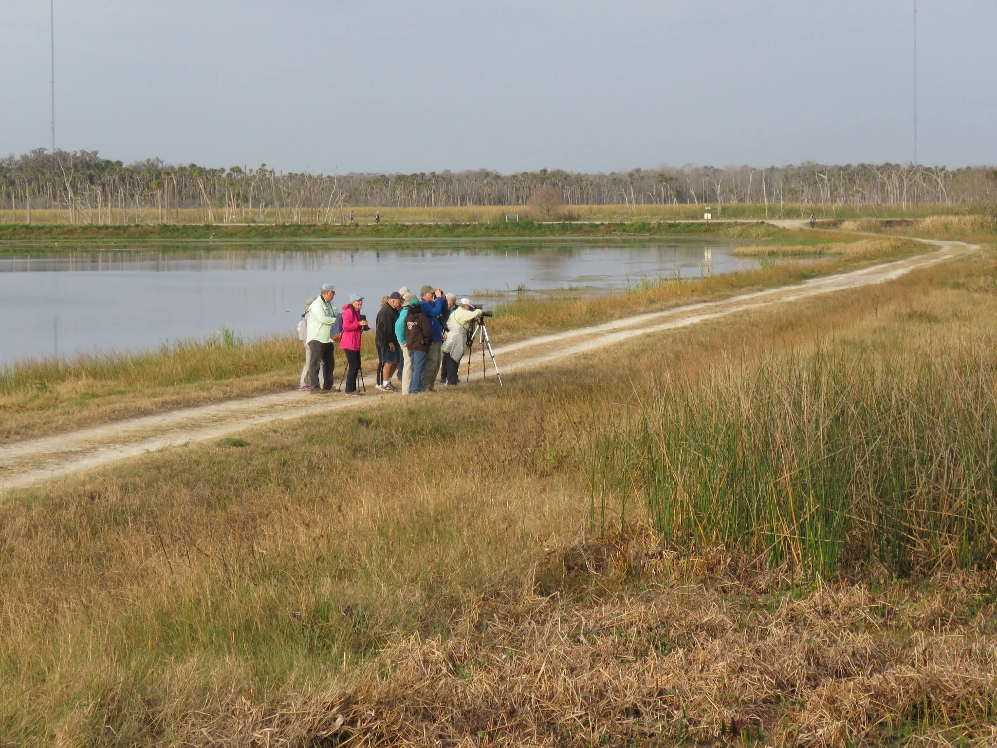 Birders - Orlando Wetlands, FL Jan 18 (2).jpg