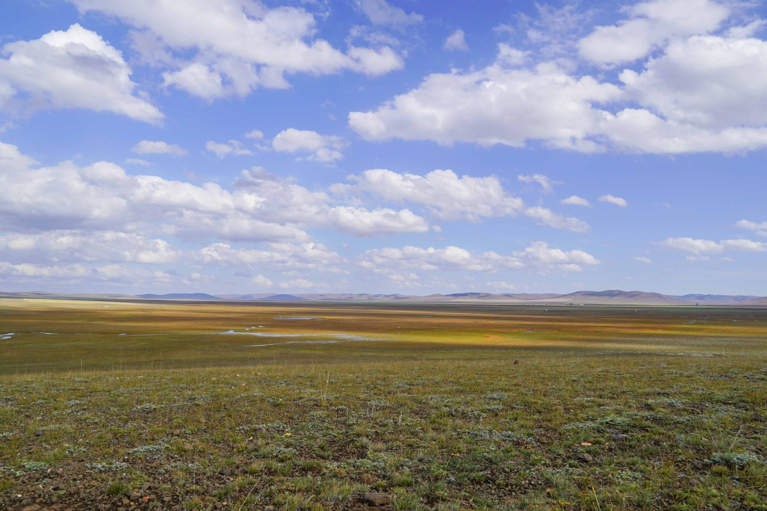 Mongolian Steppes by Rubythroat Tours.jpg