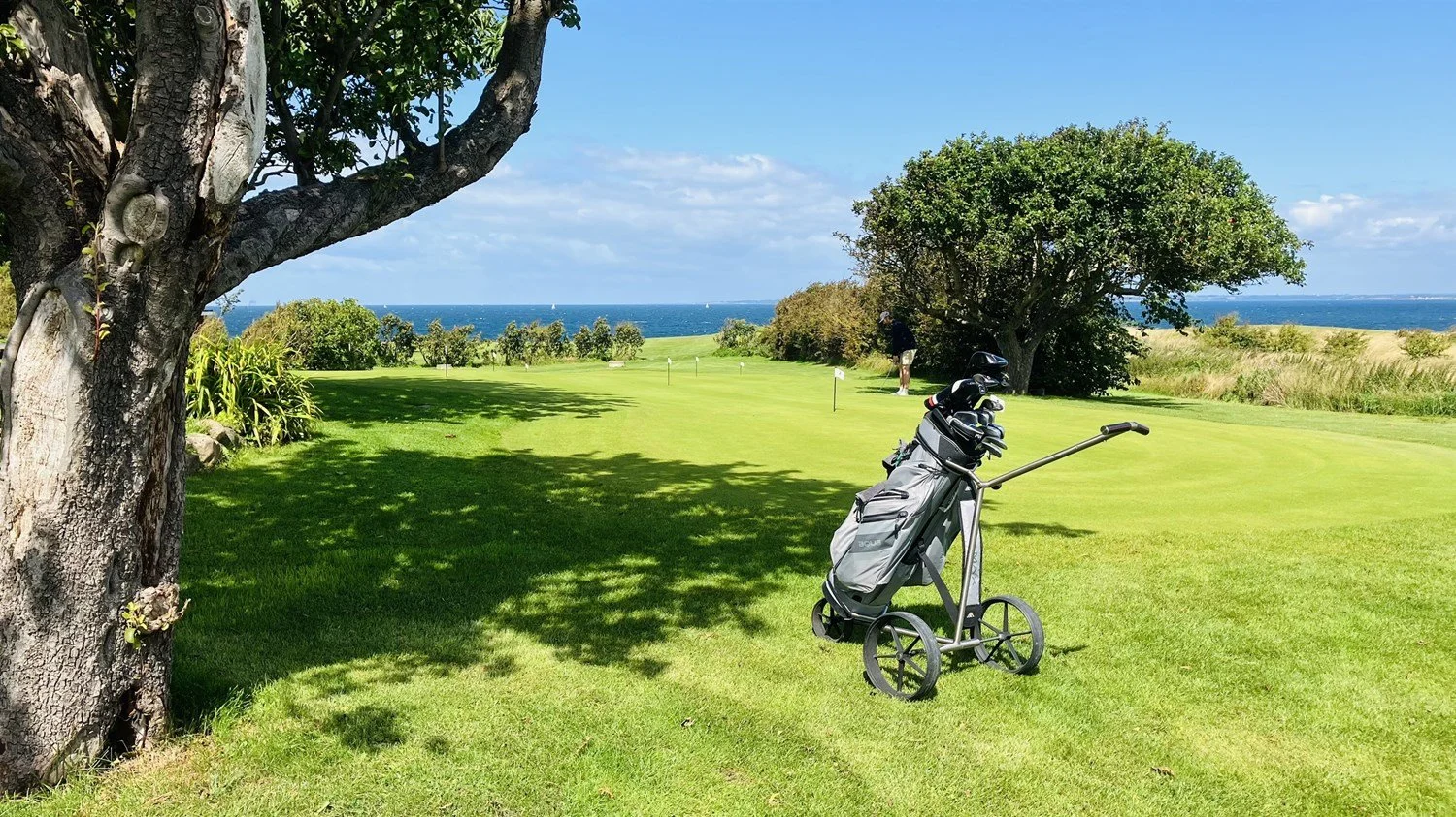 Golfbag auf dem Platz des Ærø Golf Club mit Blick auf Meer und Landschaft