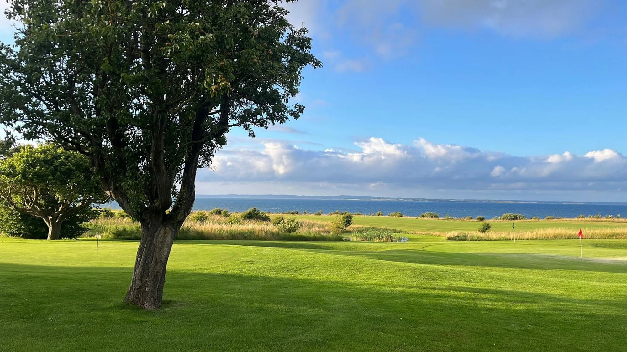 Offene Fairways des Ærø Golf Club mit Blick über Küste und Meer auf Ærø