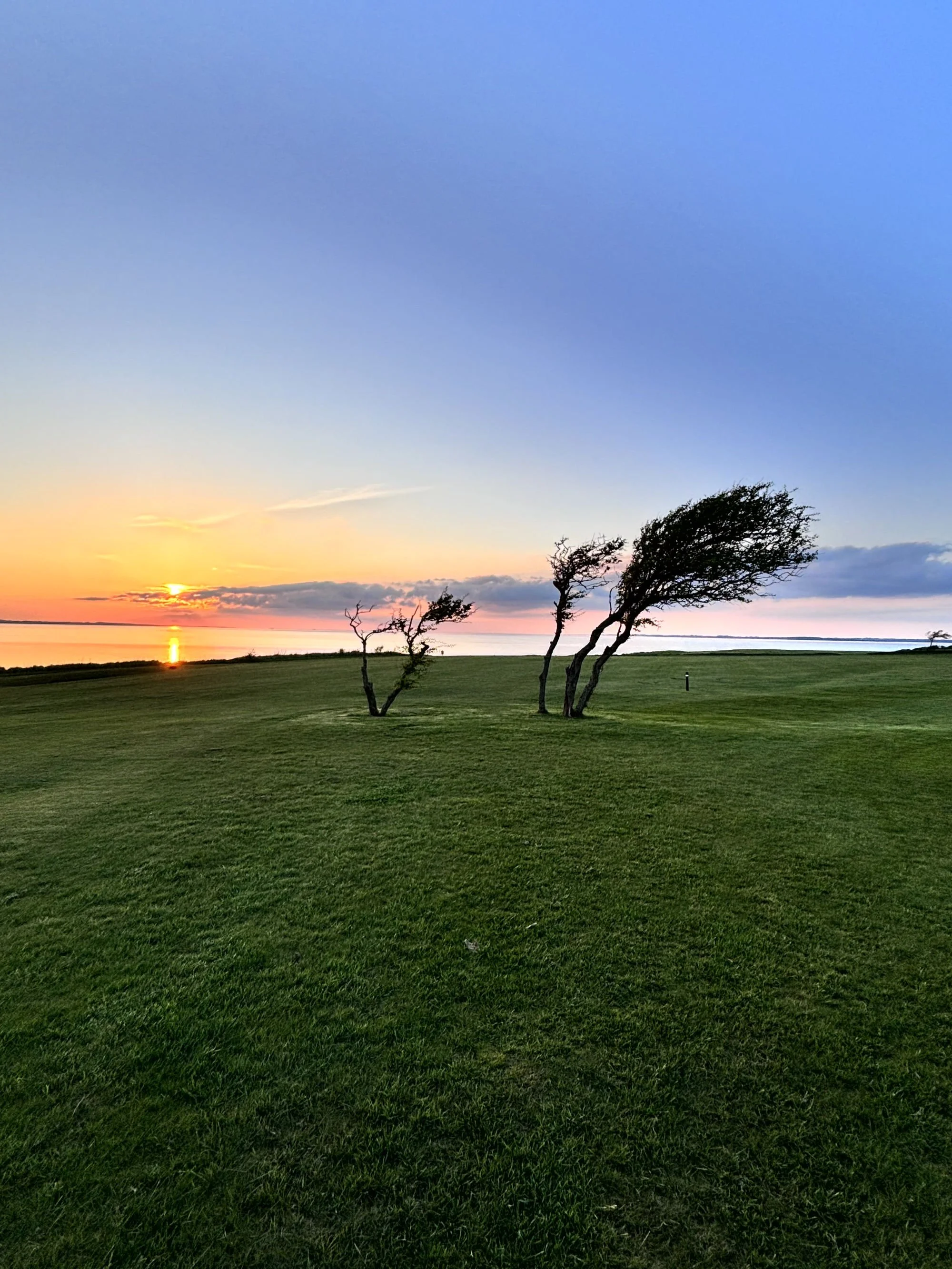 Perspektivwechsel beim Innovation Offsite auf Ærø – ruhige Küstenlandschaft mit Blick aufs Meer unterstützt fokussiertes Denken und neue Ideen