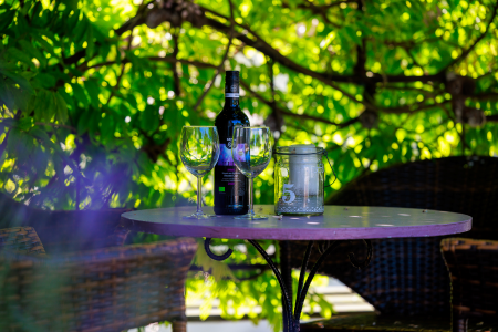 Arbeitsplatz für Denkpausen: grünes Weinlaub im Hintergrund, davor ein Tisch mit einer Weinflasche und zwei Gläsern. Sehr stimmungsvoll. im Alten Pfarrhaus auf Ærø.