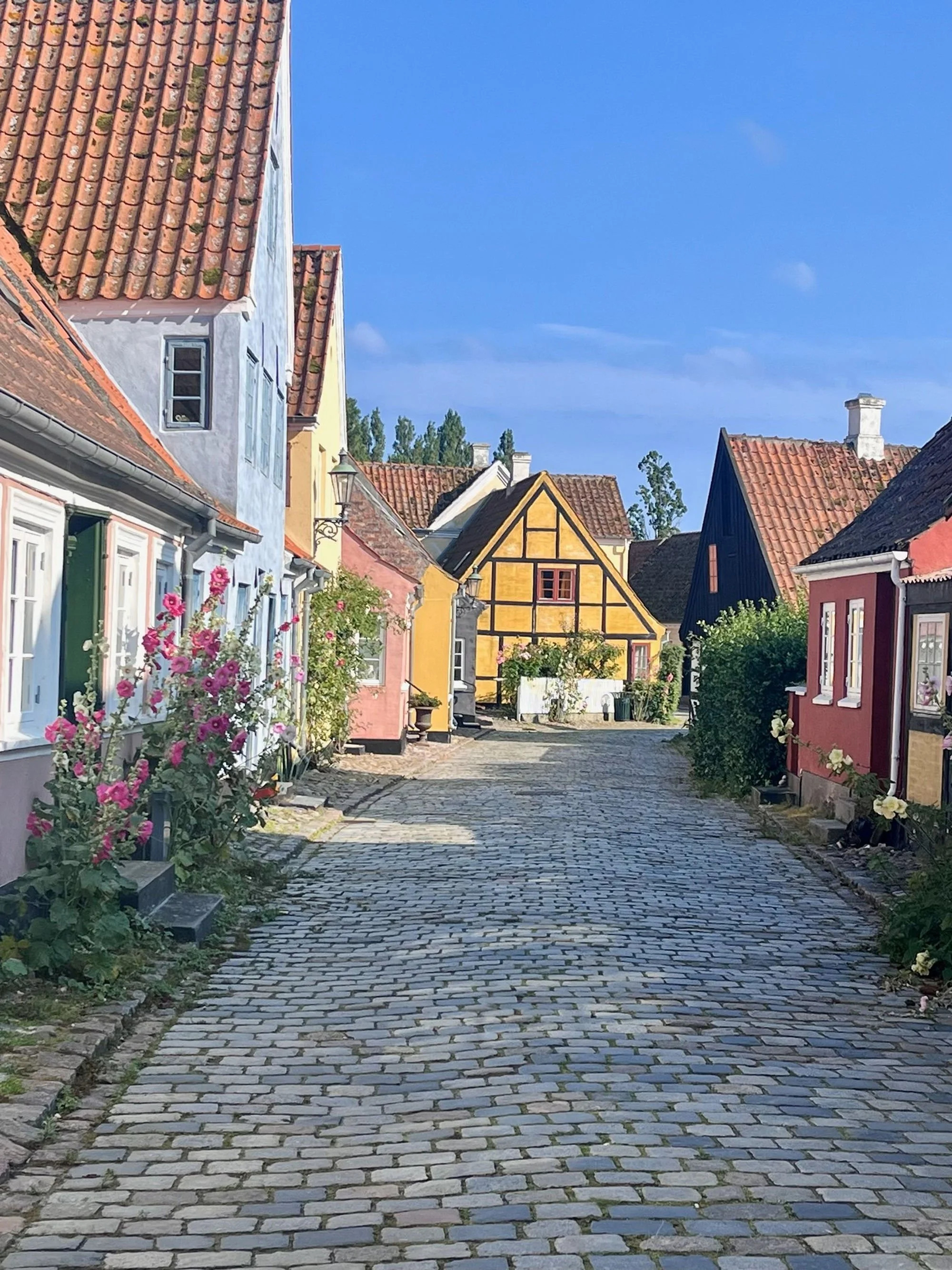 Märchenstadt Ærøskøbing, der hyggeligste Ort auf der Insel Ærø. Perfekt zum bummeln und genießen des Inselrhytmus. Ærø entschleunigt mit seinen bunten Fachwerkhäusern, Kopfsteinpflaster und blauem Himmel