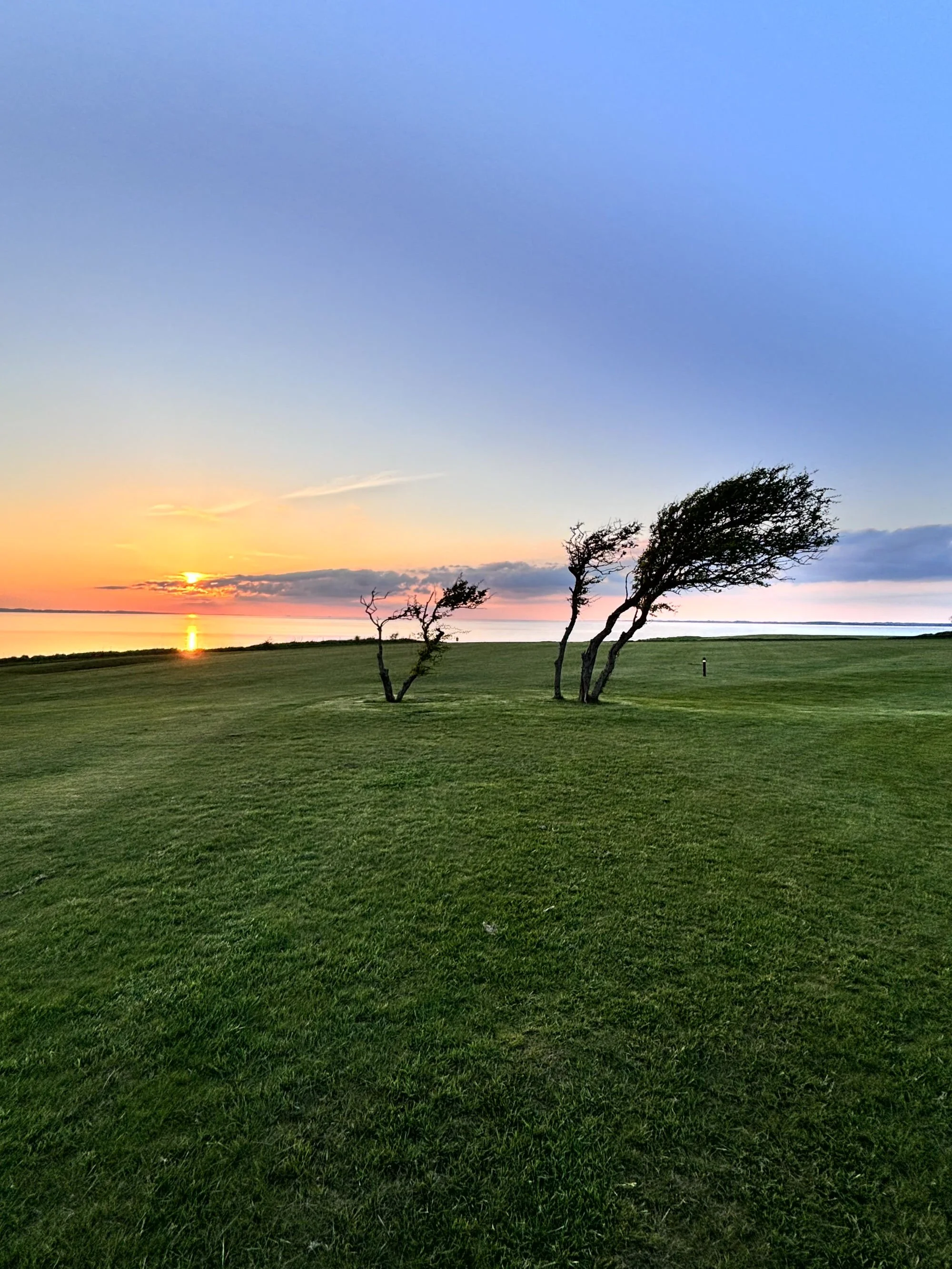Küstenlandschaft am Golfplatz auf Ærø mit Blick auf das Meer und offene Flächen
