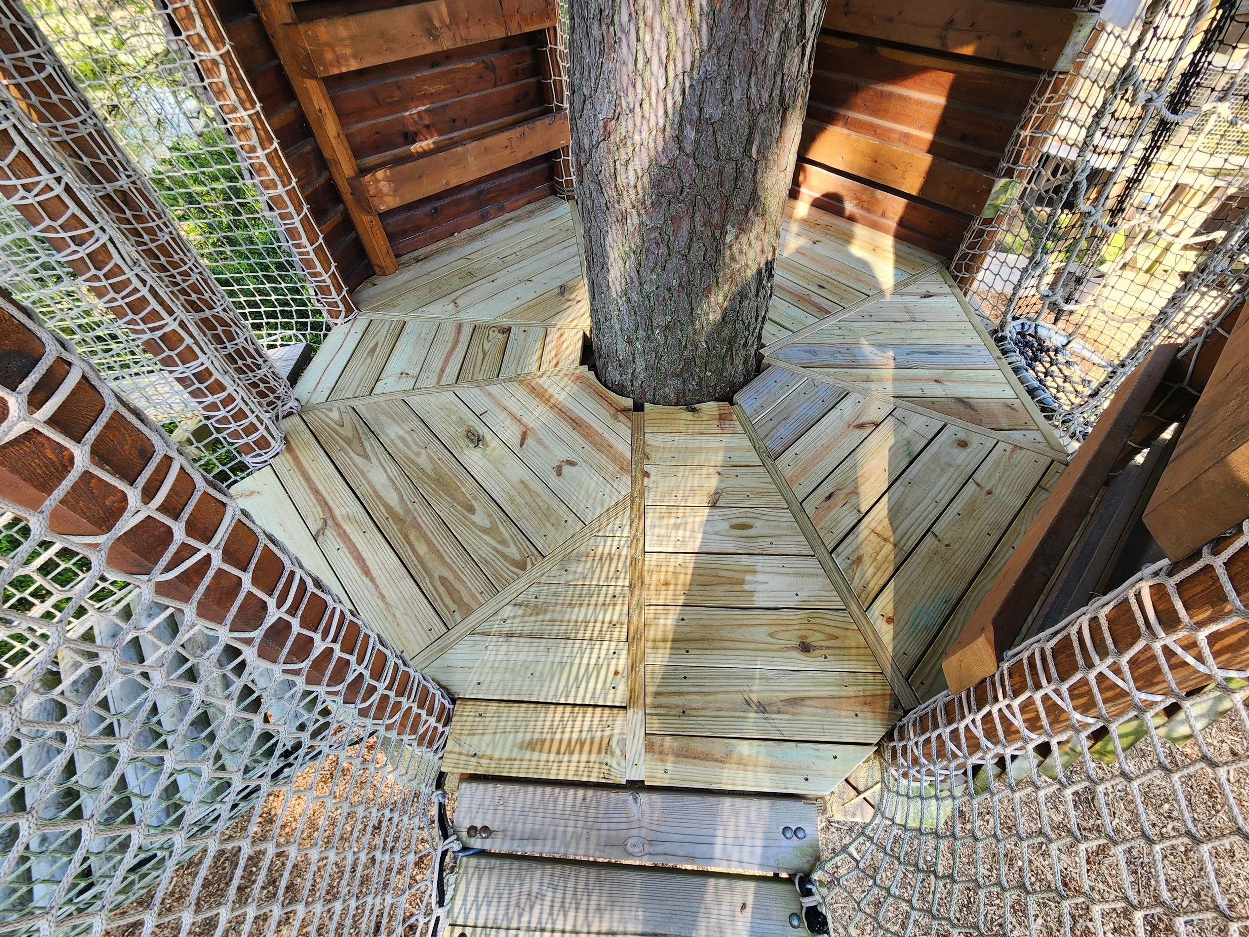 hunt-club-farm-virginia-beach-va-treewalk-maintenance-decking-after-005.jpg