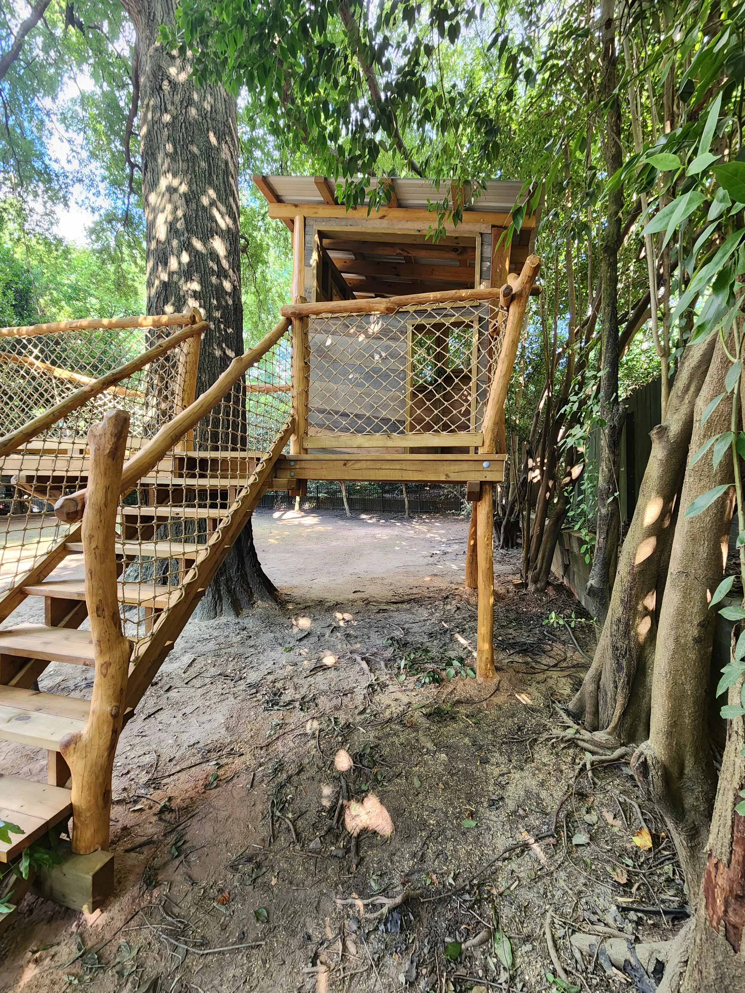 dilworth-charlotte-nc-custom-black-locust-playground-treehouse-overview-006.jpeg