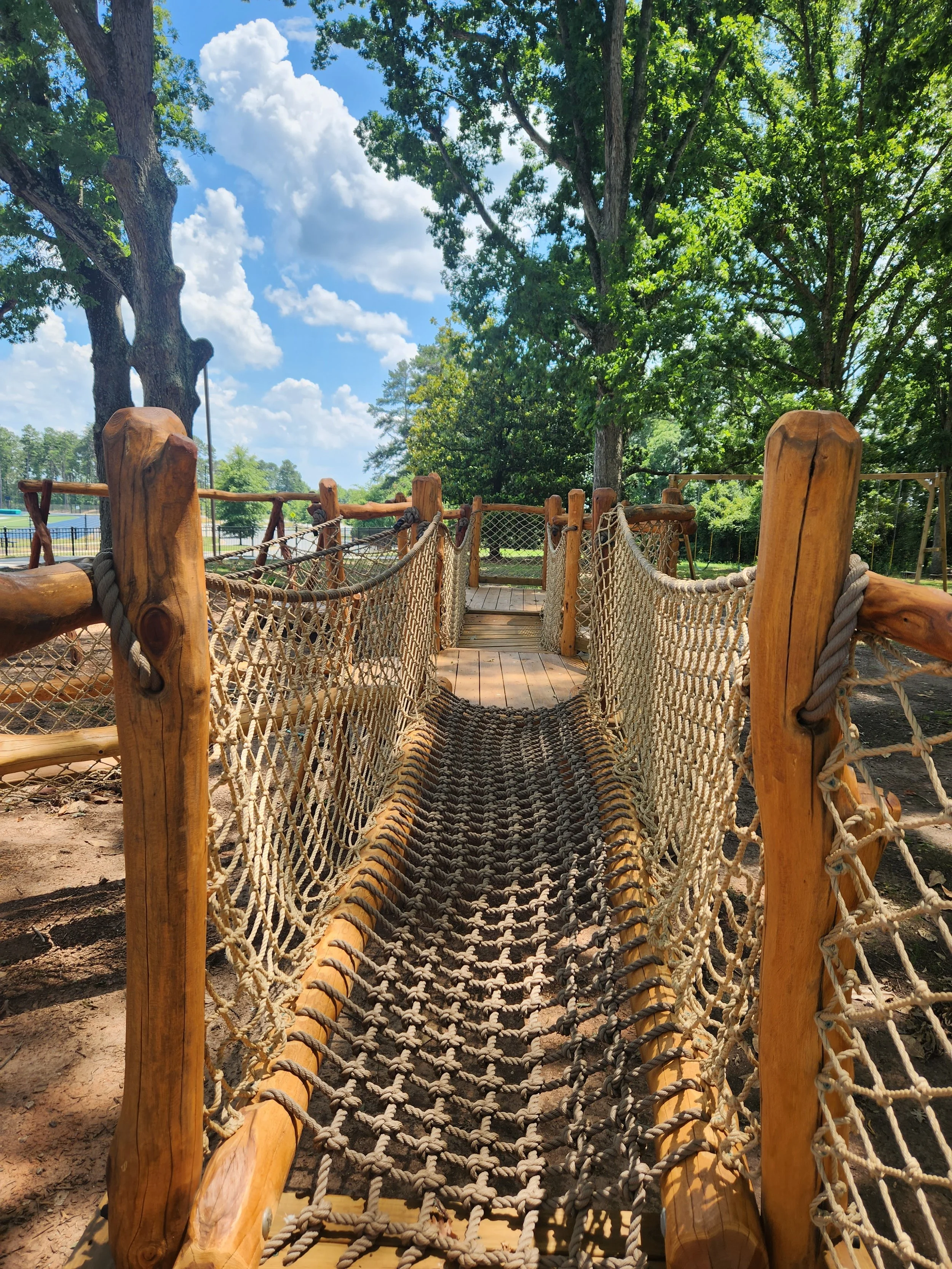 davidson-nc-custom-black-locust-playground-treehouse-net-bridge-000.jpeg
