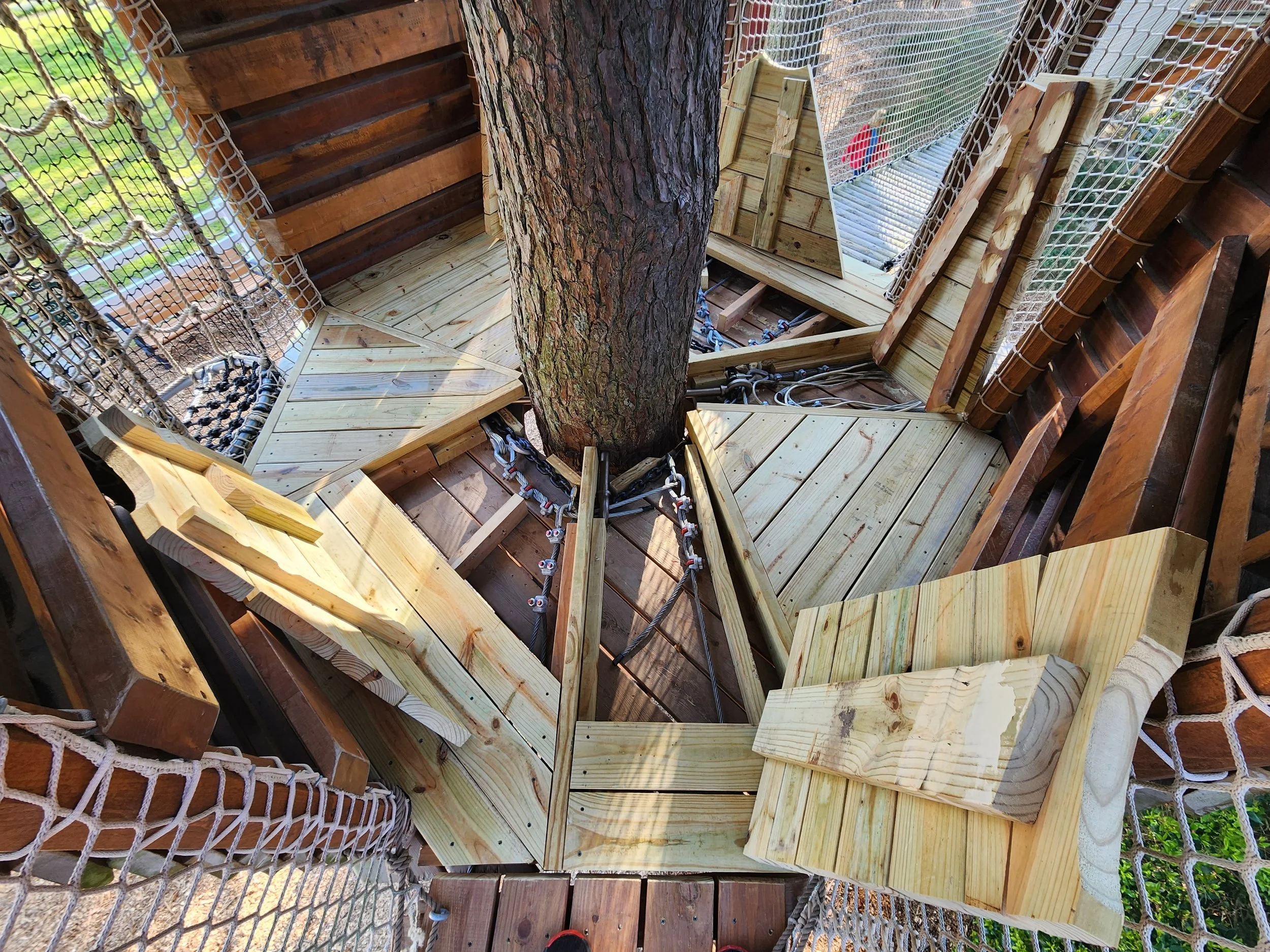 hunt-club-farm-virginia-beach-va-treewalk-maintenance-decking-after-006.jpg