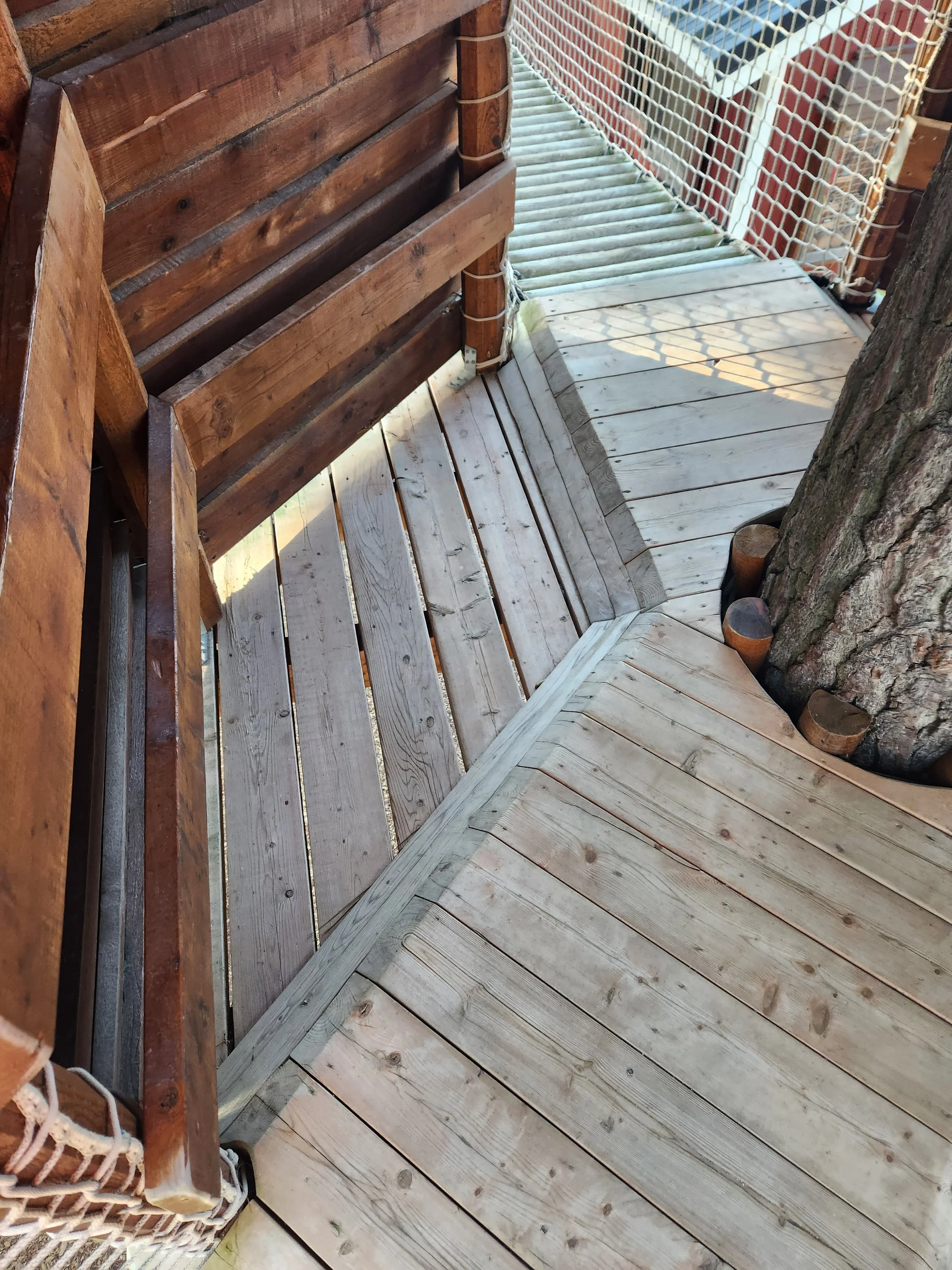hunt-club-farm-virginia-beach-va-treewalk-maintenance-decking-before-001.jpg