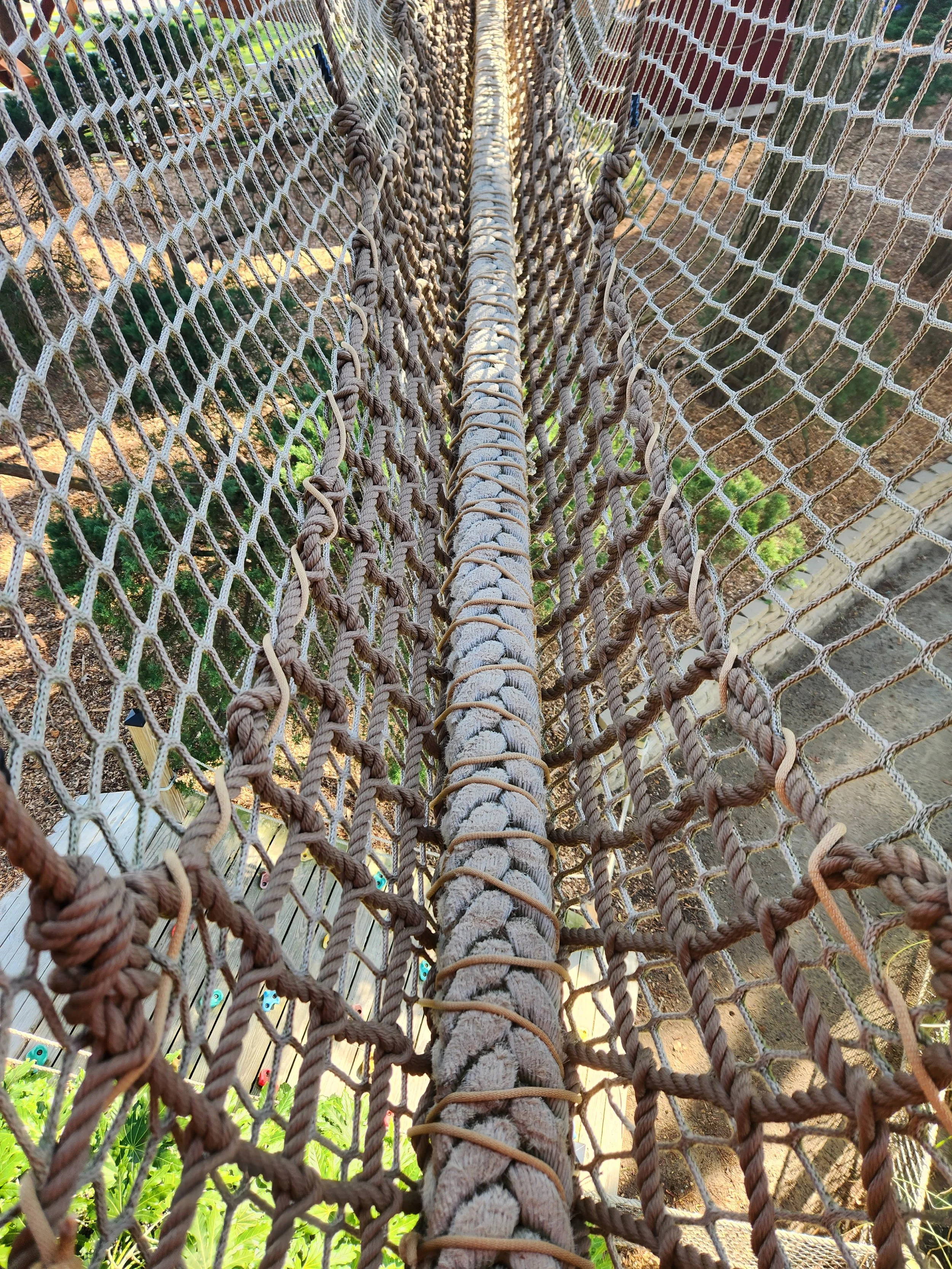 hunt-club-farm-virginia-beach-va-treewalk-maintenance-rope-bridge-after-004.jpg