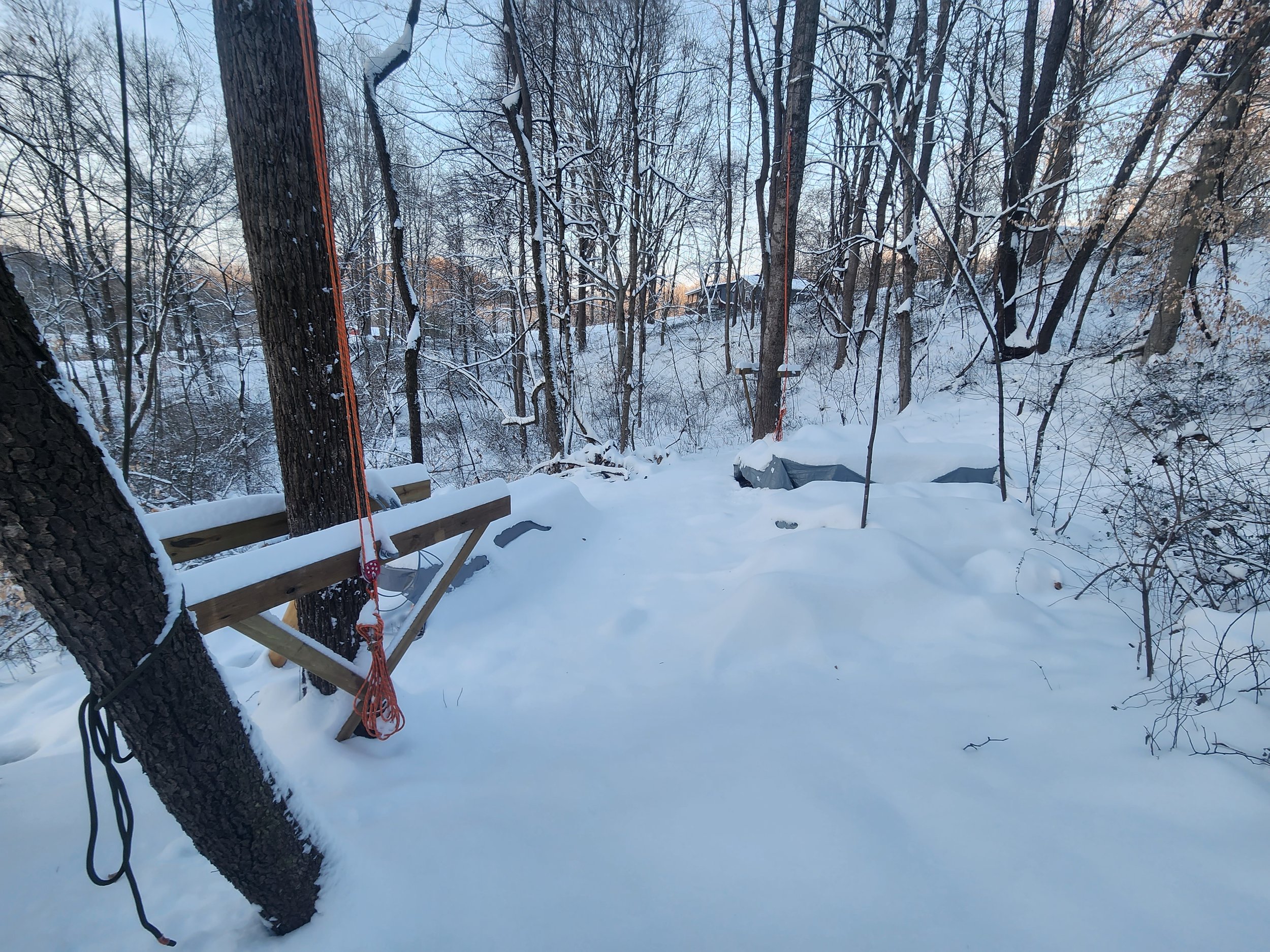 hocking-hills-oh-custom-black-locust-playground-treehouse-site-before-003.jpeg