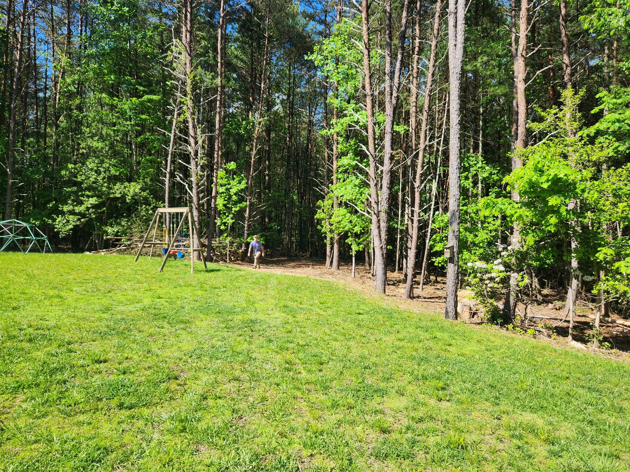 cottage-park-morganton-nc-custom-black-locust-playground-treehouse-site-before-004.jpeg