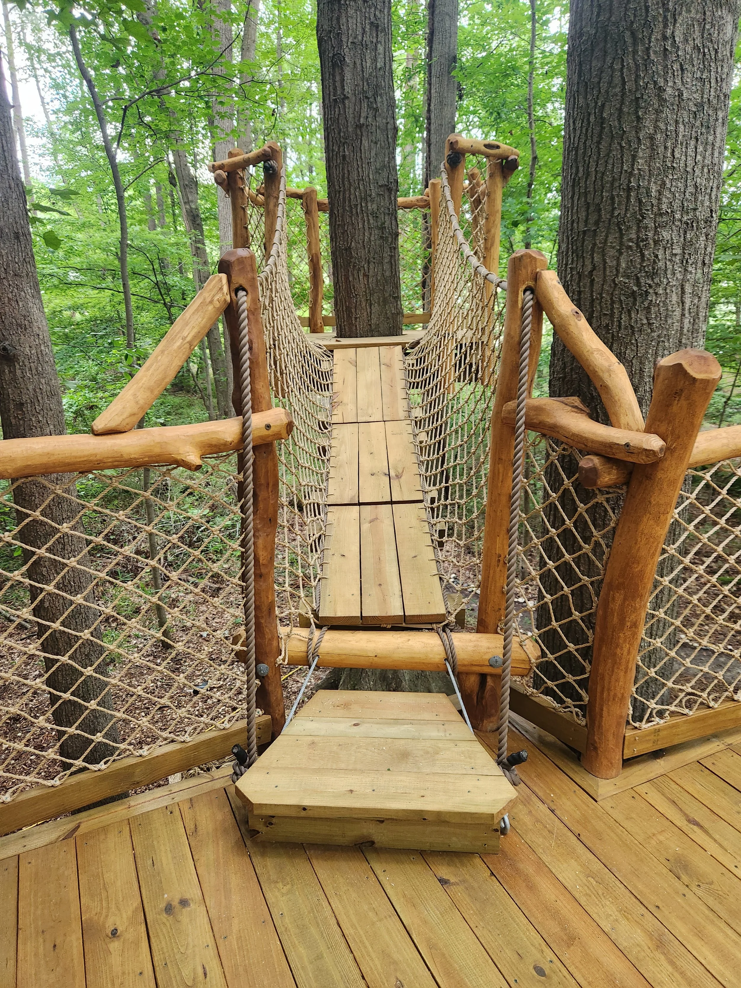 cary-nc-custom-black-locust-playground-treehouse-plank-bridge-001.jpeg