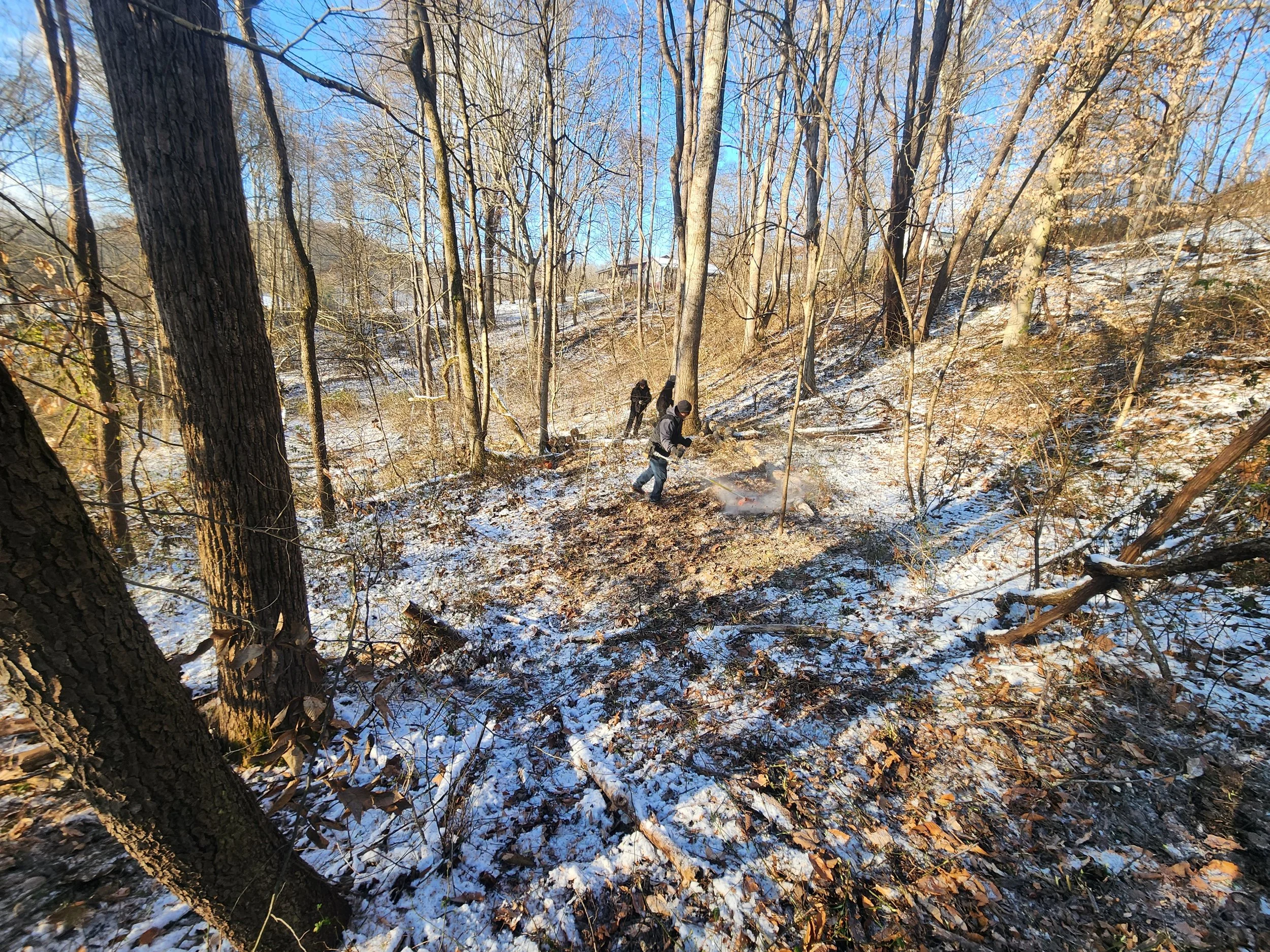 hocking-hills-oh-custom-black-locust-playground-treehouse-site-before-006.jpeg