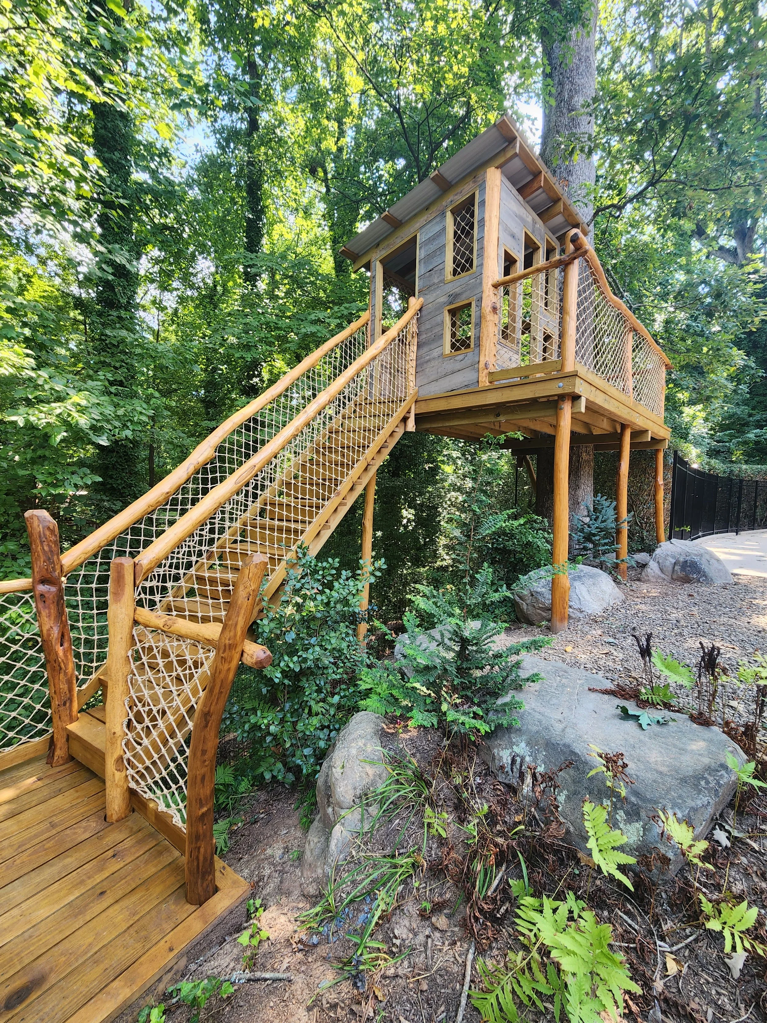 A treehouse built among tall green trees with a wooden staircase leading up to it, surrounded by lush foliage and rocks on the ground.
