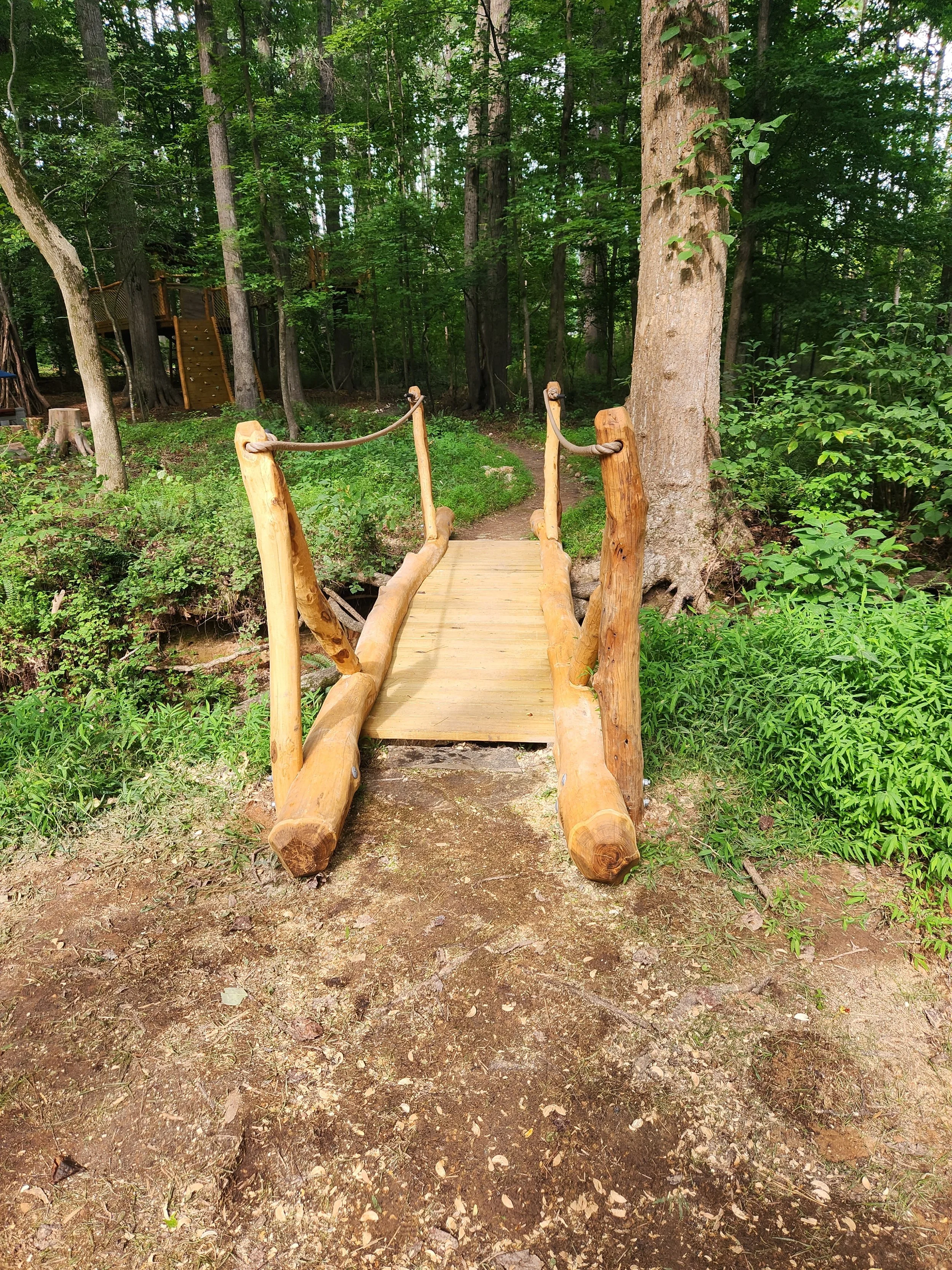 cary-nc-custom-black-locust-playground-treehouse-rigid-bridge-001.jpeg