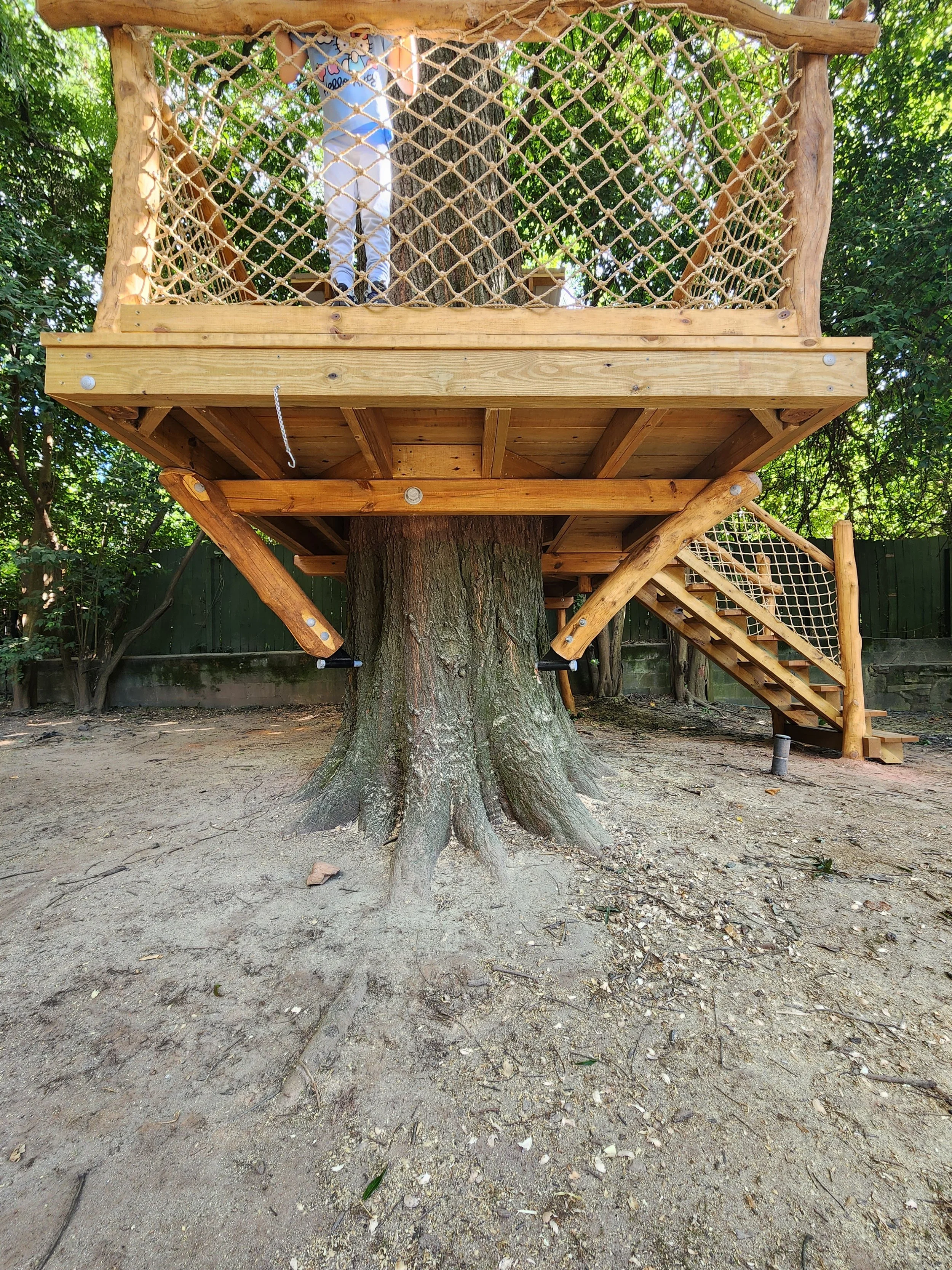 dilworth-charlotte-nc-custom-black-locust-playground-treehouse-overview-004.jpeg