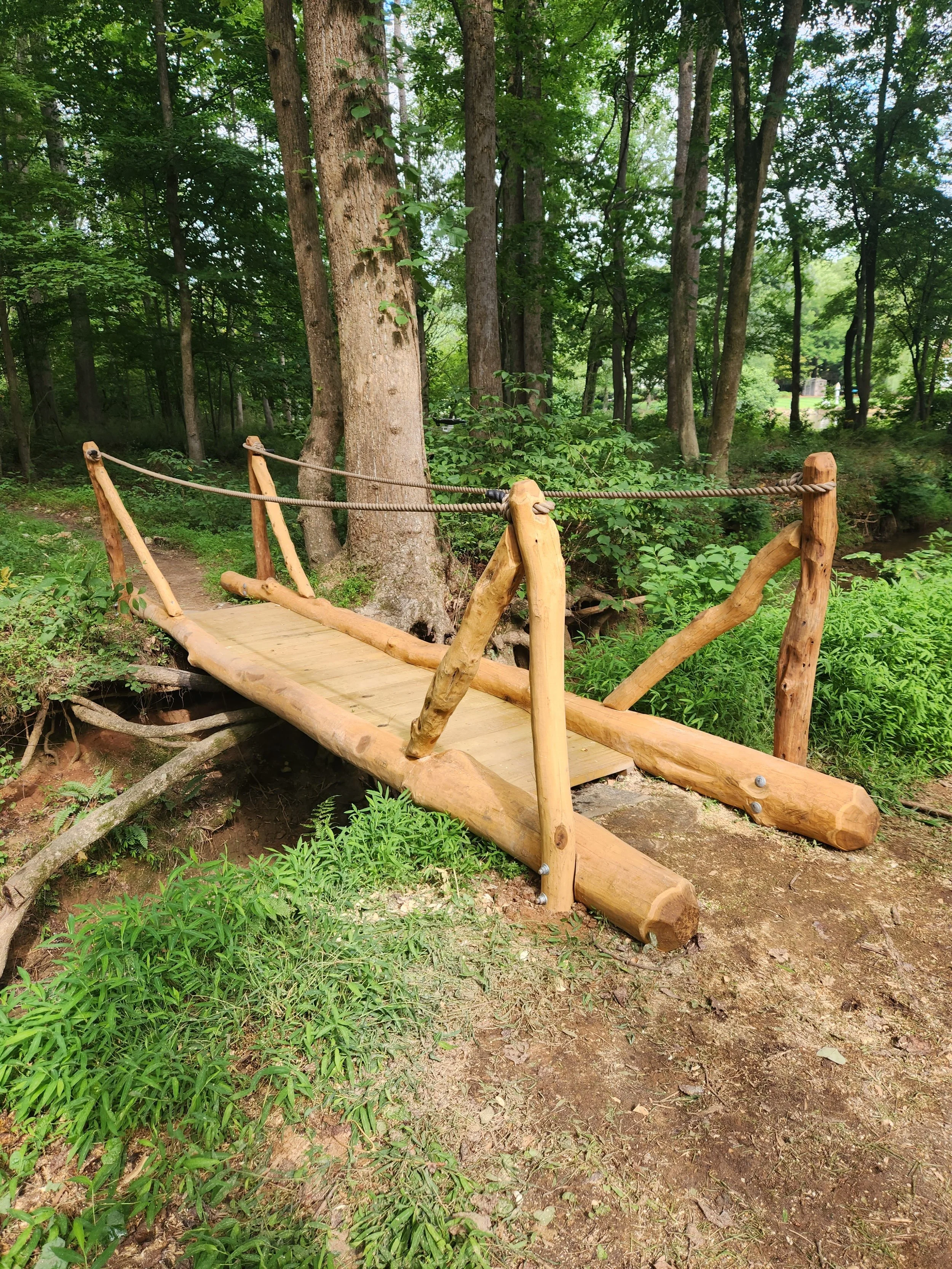 cary-nc-custom-black-locust-playground-treehouse-rigid-bridge-000.jpeg