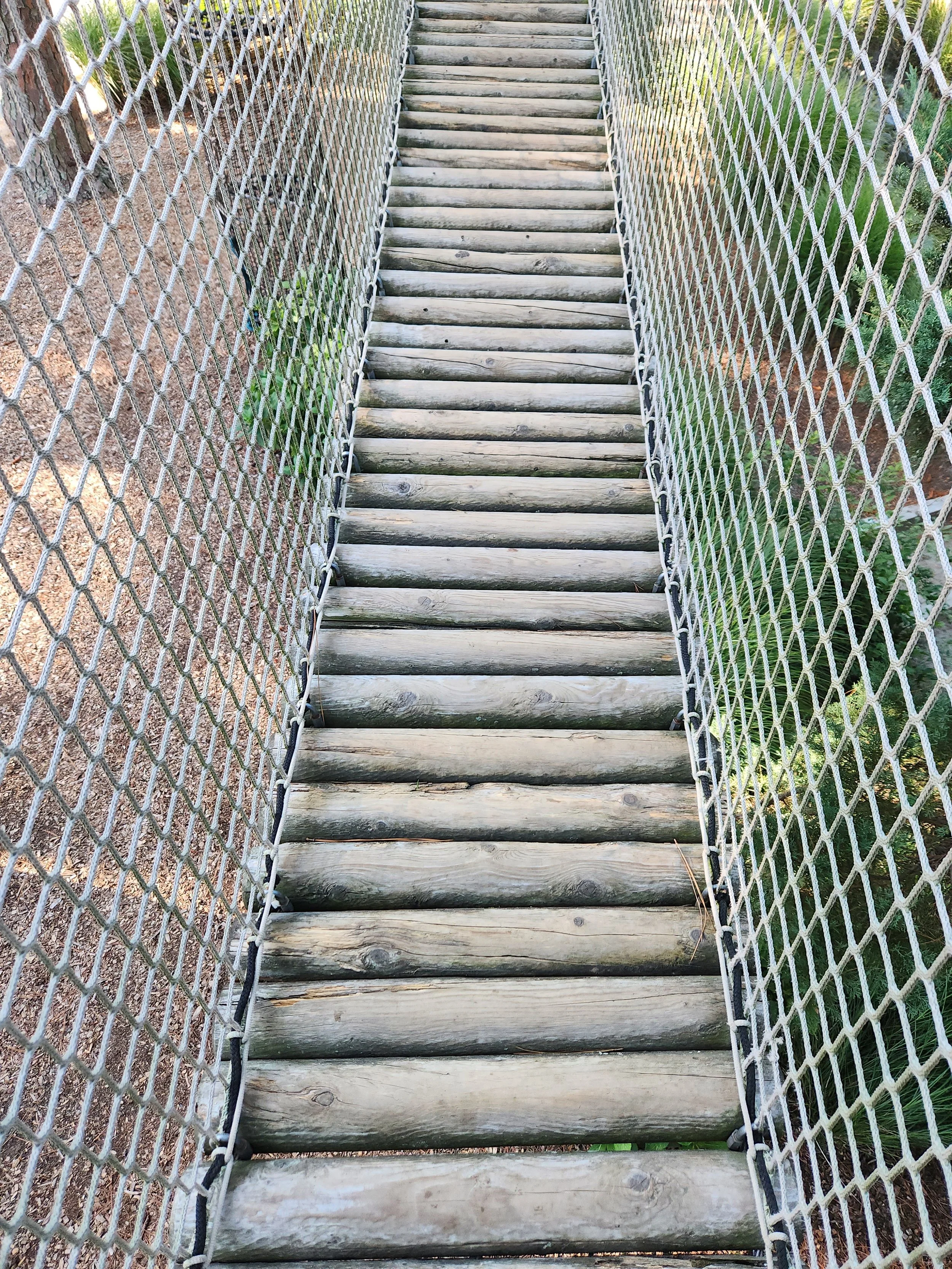 hunt-club-farm-virginia-beach-va-treewalk-maintenance-bridge-before-003.jpg