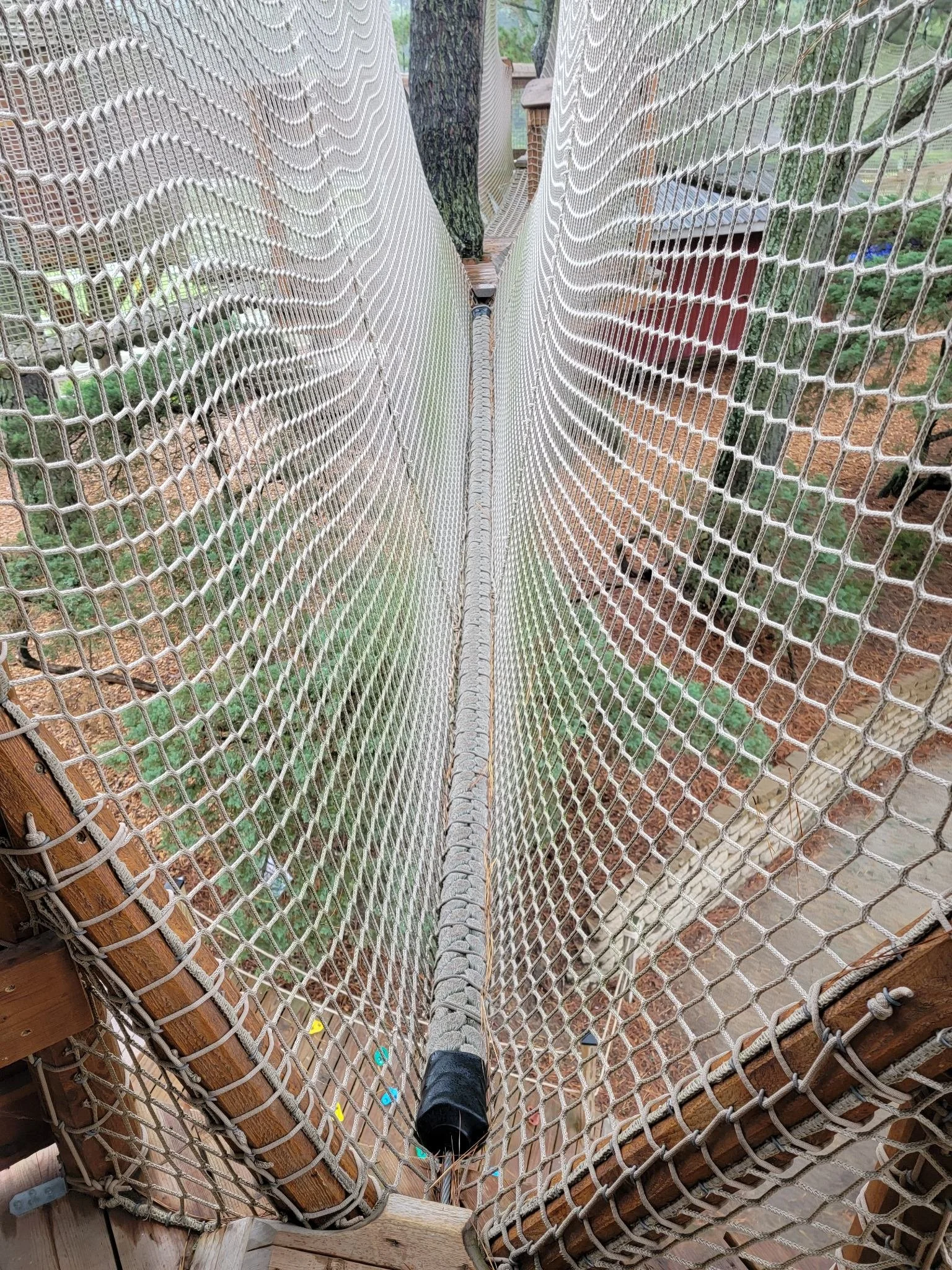 hunt-club-farm-virginia-beach-va-treewalk-maintenance-rope-bridge-before-001.jpg