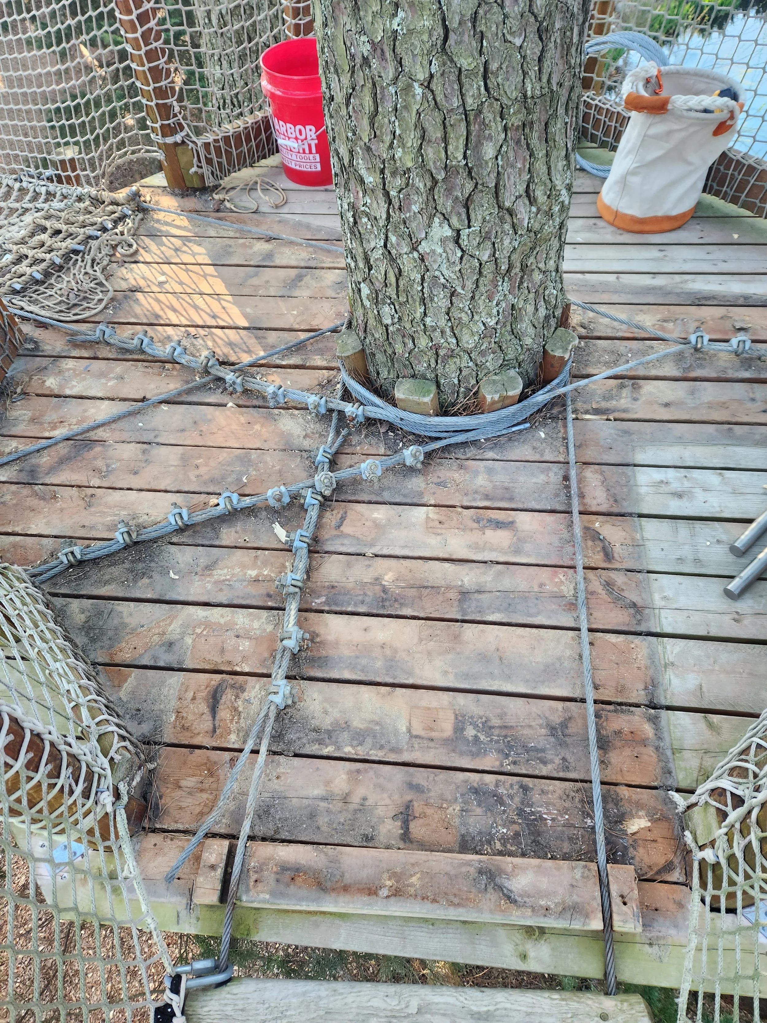 hunt-club-farm-virginia-beach-va-treewalk-maintenance-cable-work-before-002.jpg