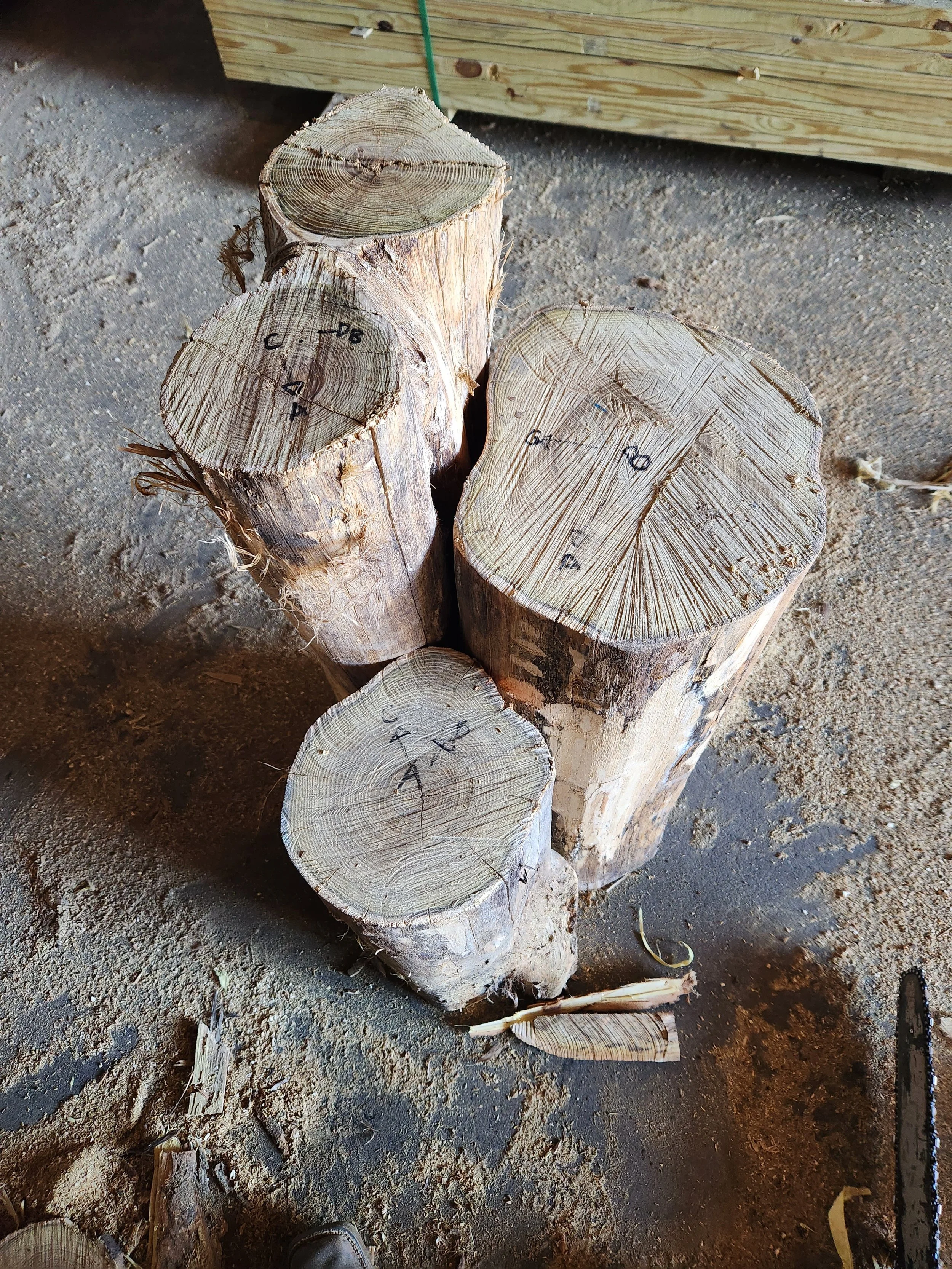 indianapolis-in-custom-black-locust-playground-treehouse-stump-climber-001.jpeg