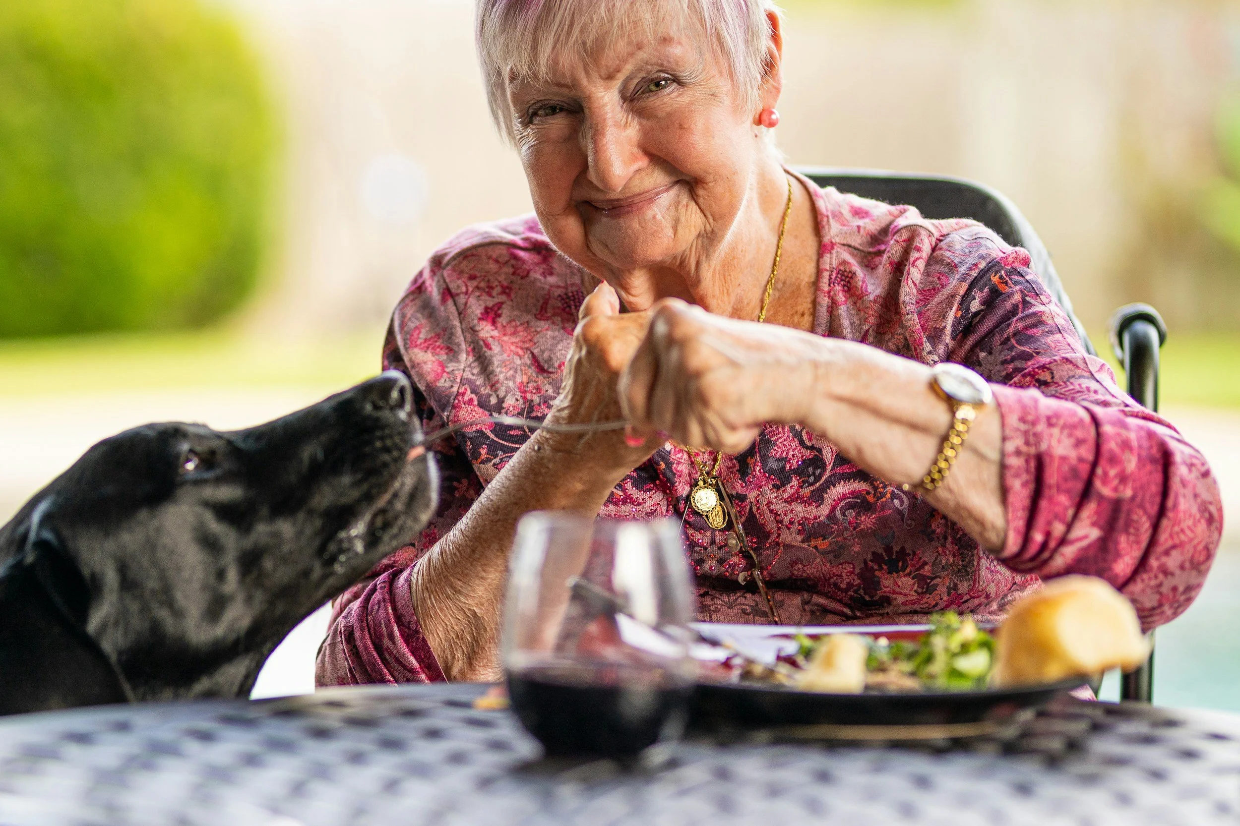 Cozy Personal care home setting with senior enjoying home cooked meal with the company of her dog