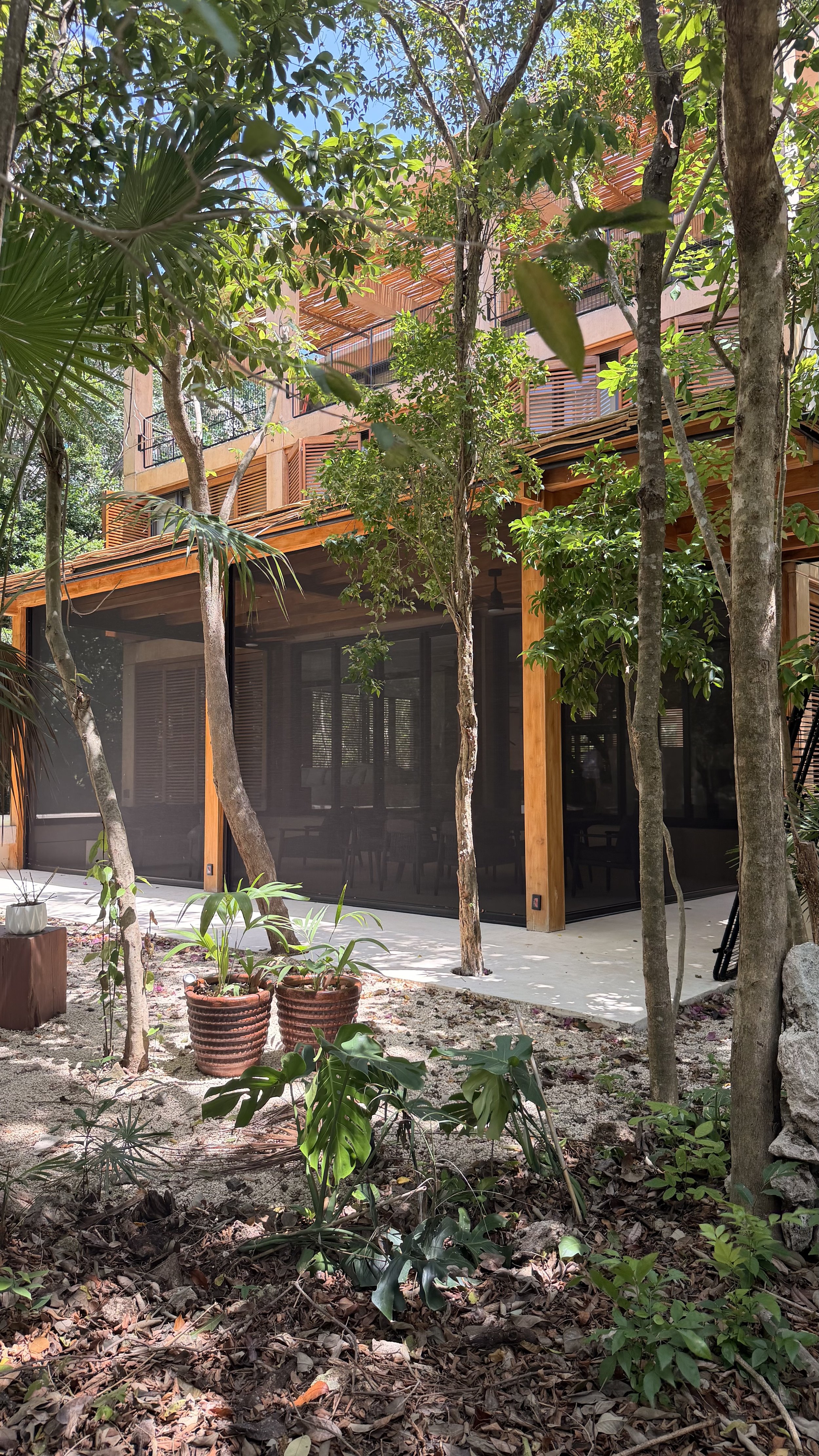 A building with a wooden exterior partly obscured by trees and plants in a garden or patio area. The building features large windows and a screened porch area, with sunlight filtering through the foliage.