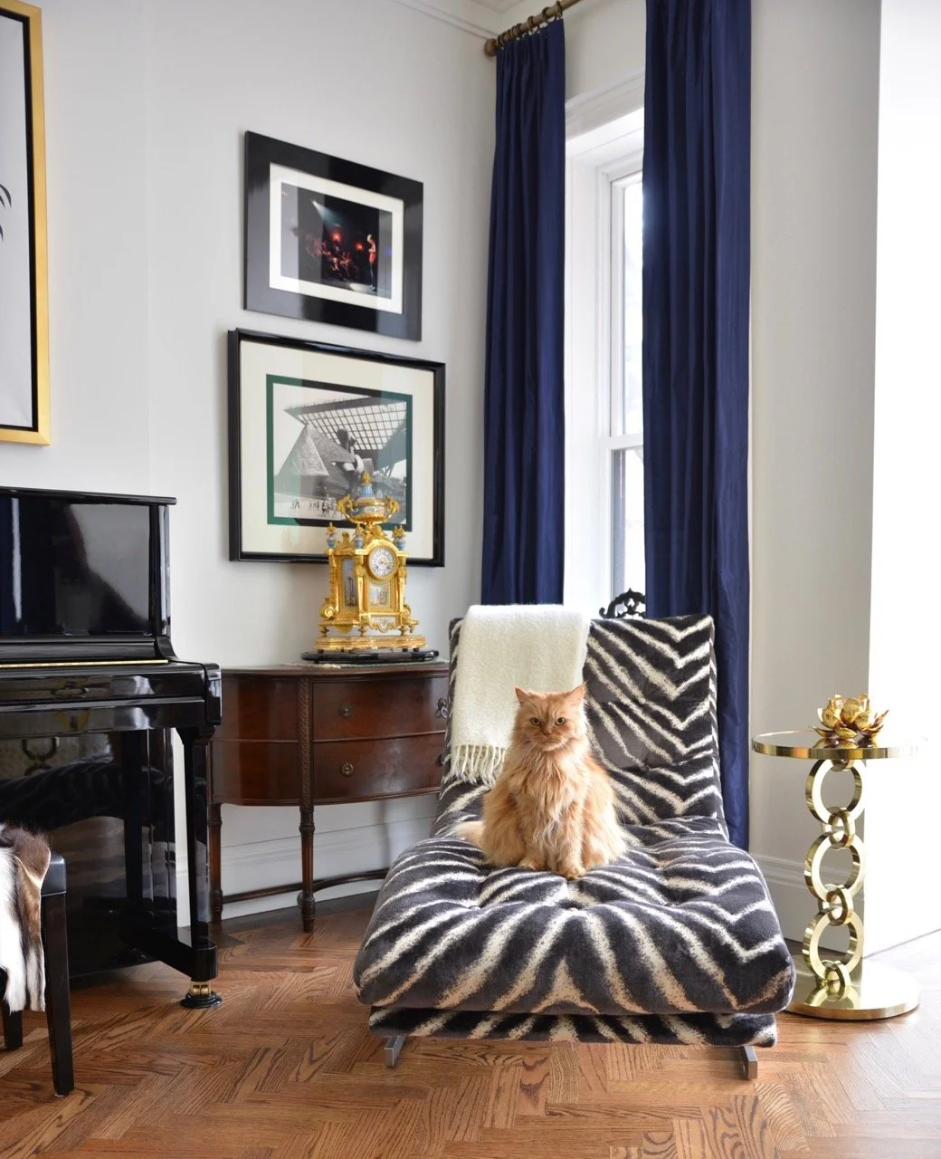 orange-cat-siting-on-zebra-painted-sofa-in-amazing-cozy-living-room.jpg