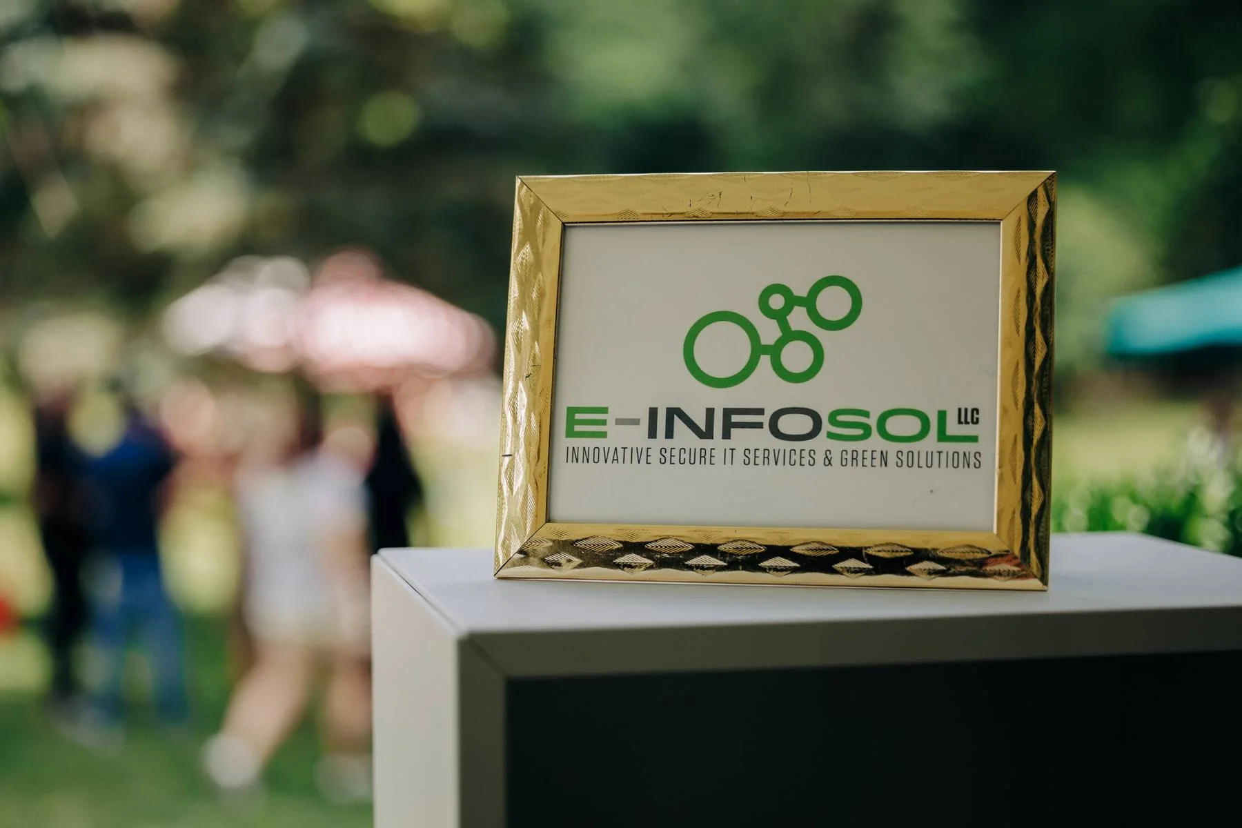 EIS_Picnic25-72.jpg