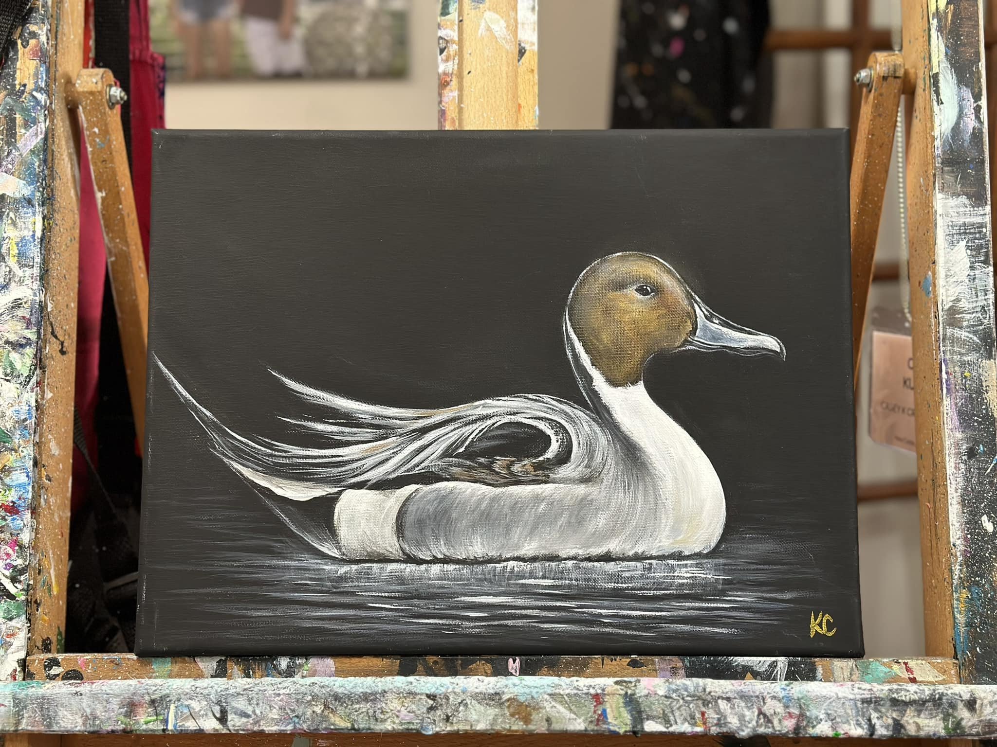 Northern-Pintail-Duck.jpeg