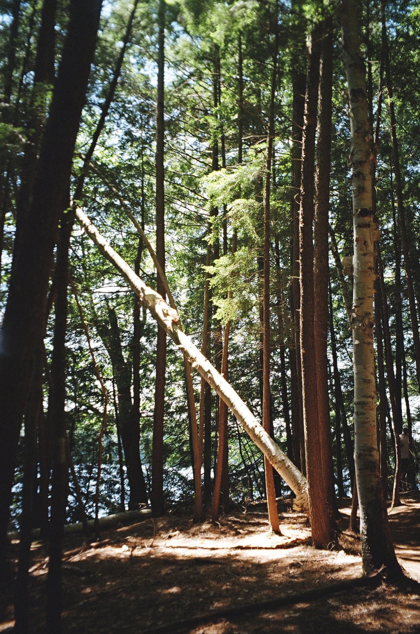 05100008.png