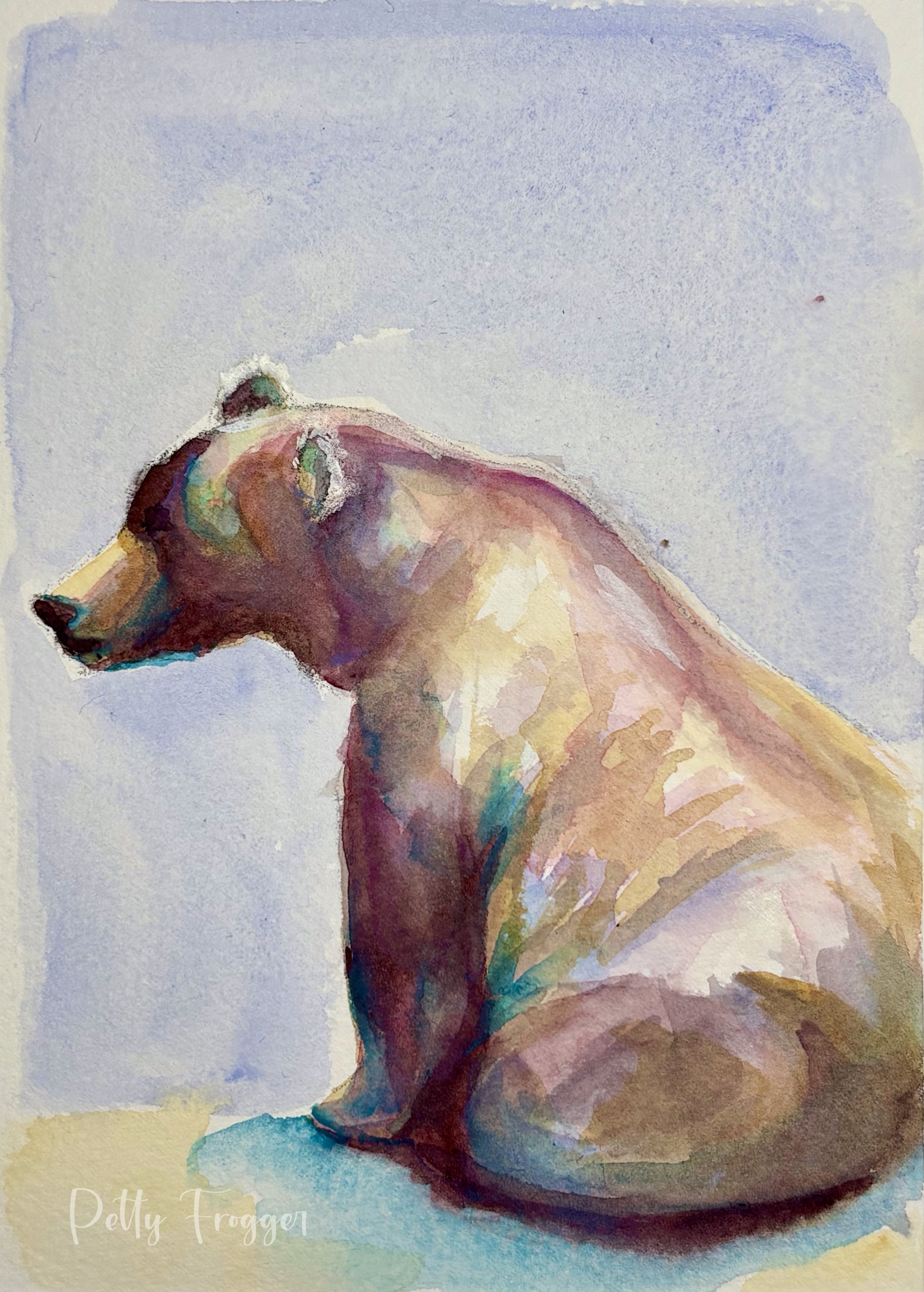 Bear 910 -- Print