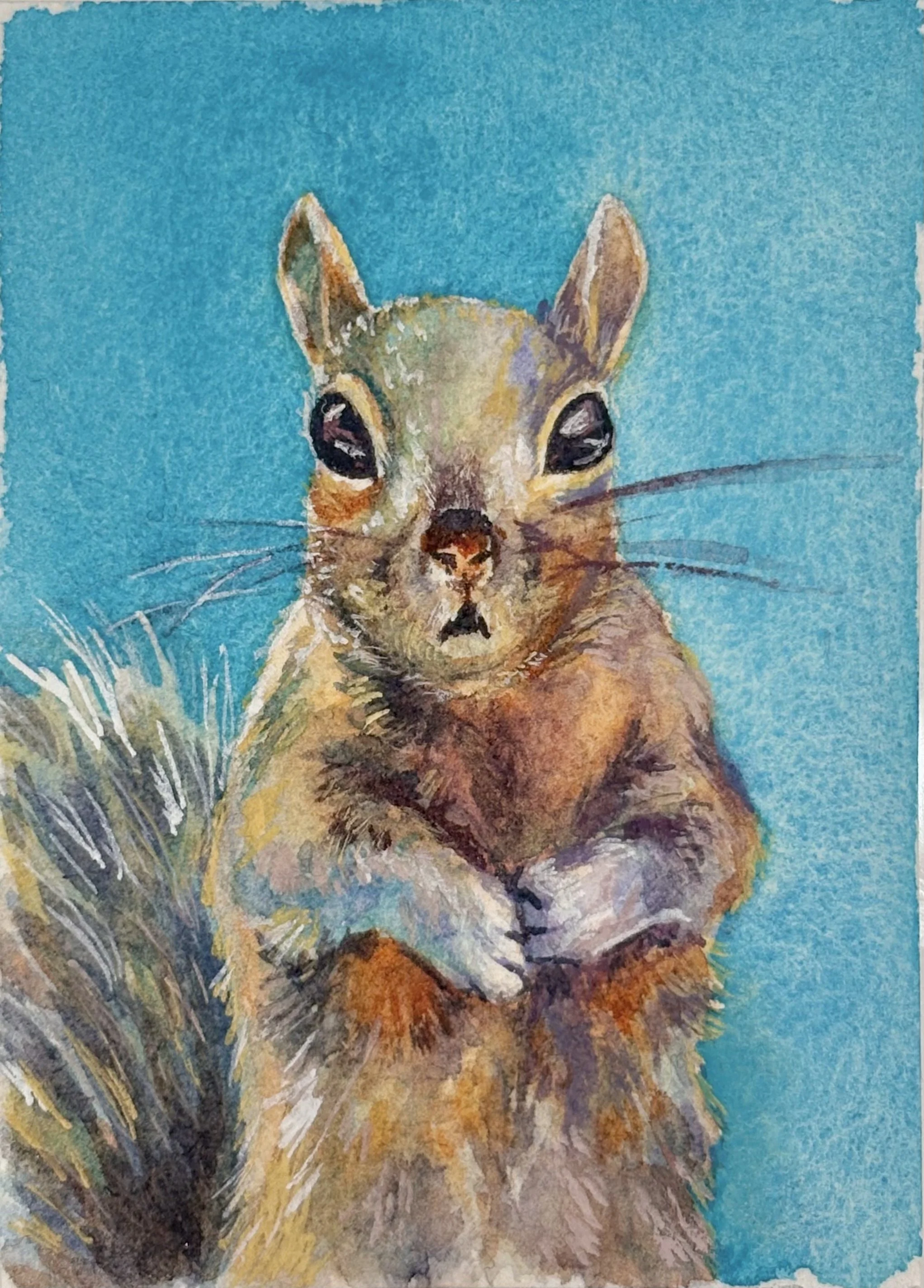 Sammy the Squirrel -- PREORDER
