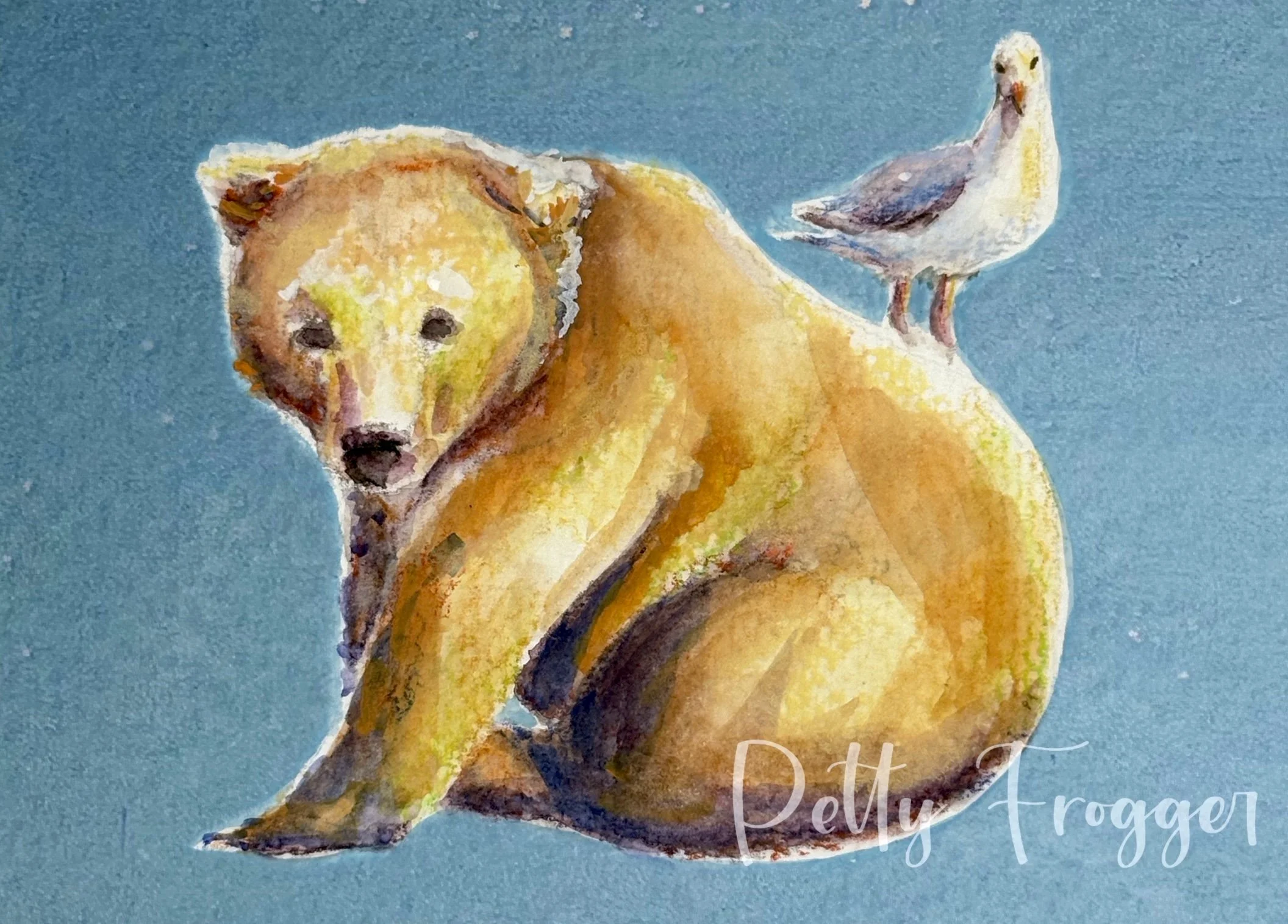 Bear 903 Gully Portrait -- Print
