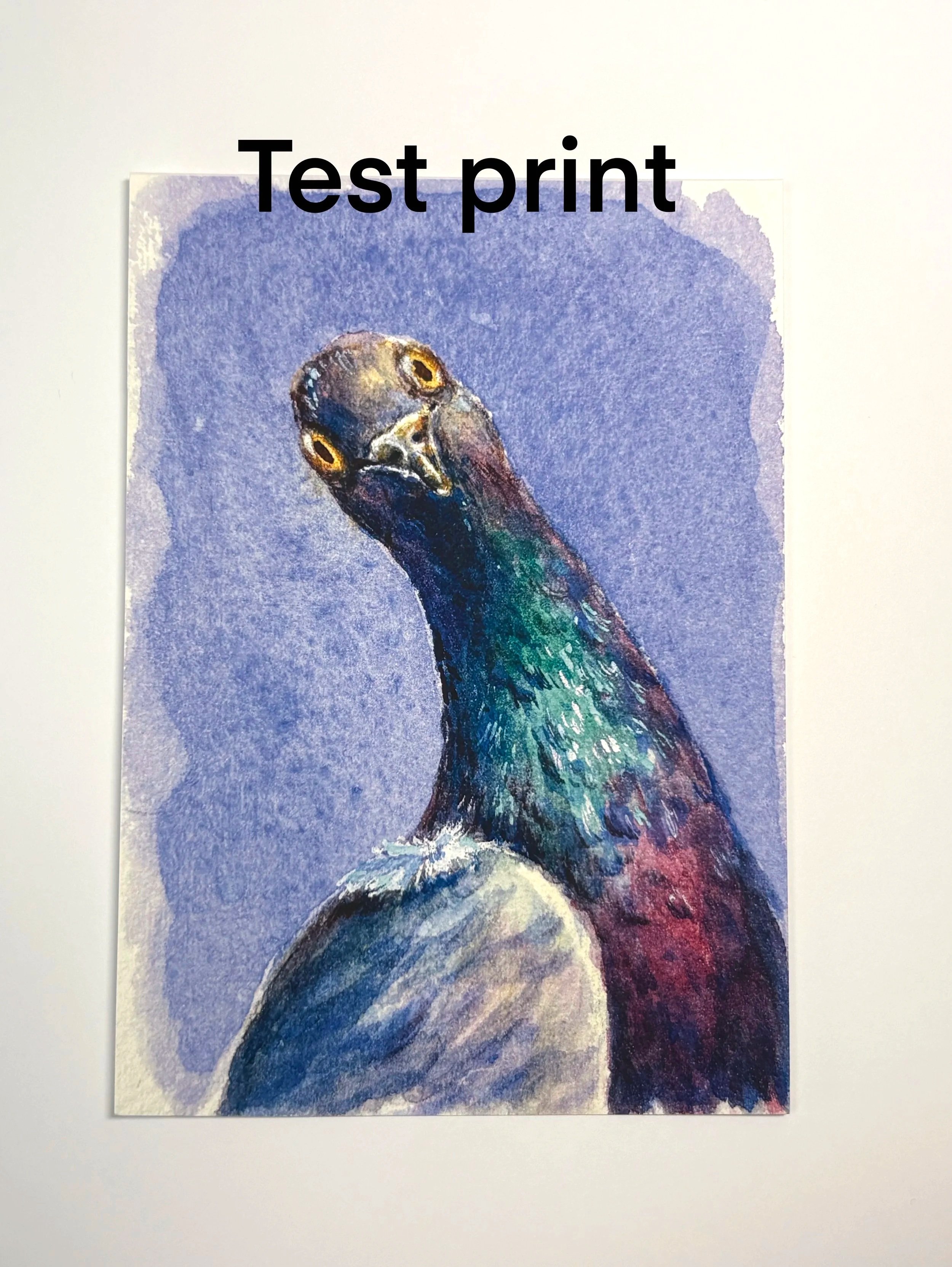Untitled_Artwork.jpg