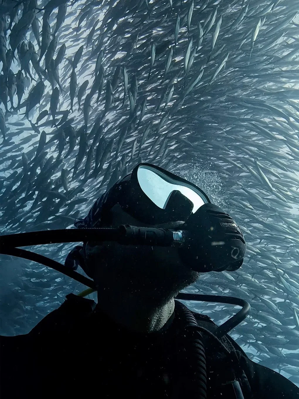 A scuba diver with a mask and regulator underwater surrounded by a school of fish.