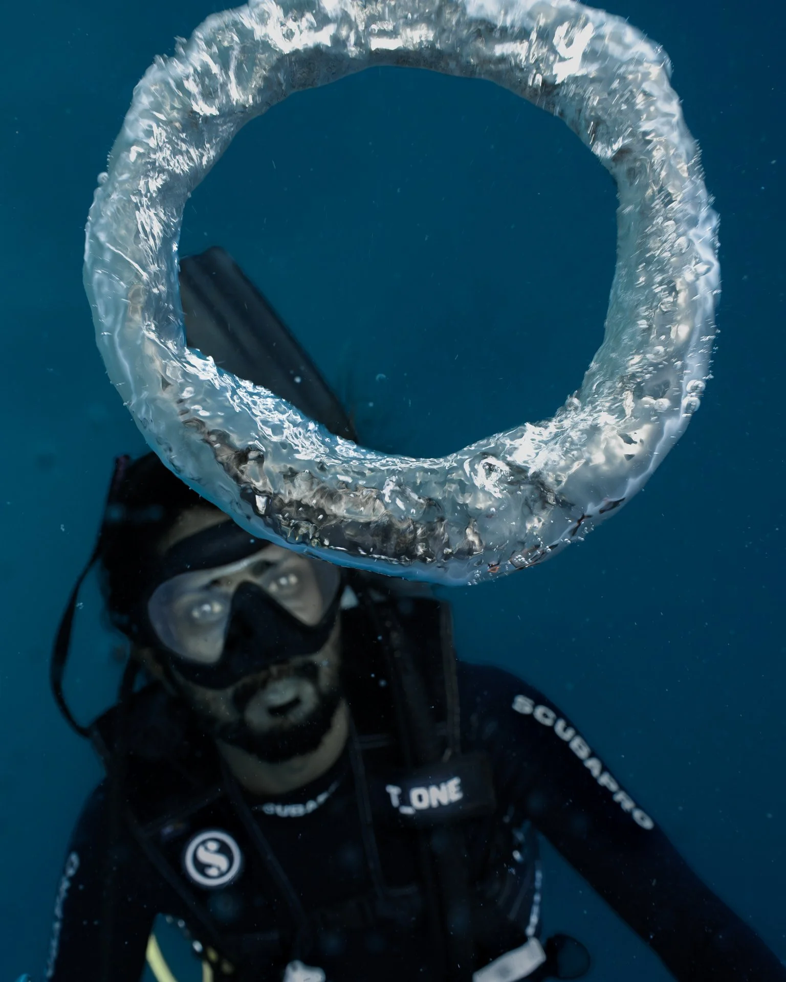 Ibbeyz-bubble-4x5.jpg
