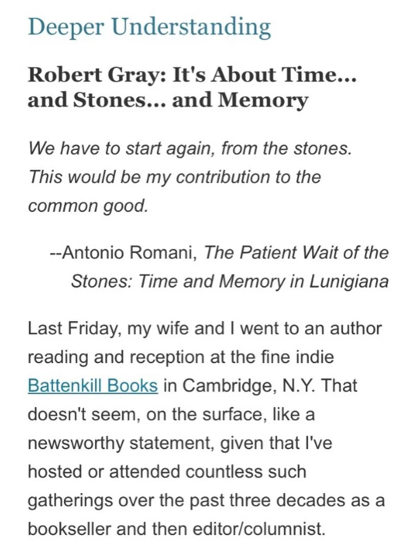 @shelf.awareness wow, what a review! 

Thank you Robert Gray for this thoughtful and considered review of #thepatientwaitofthestones 

Link is in our bio!