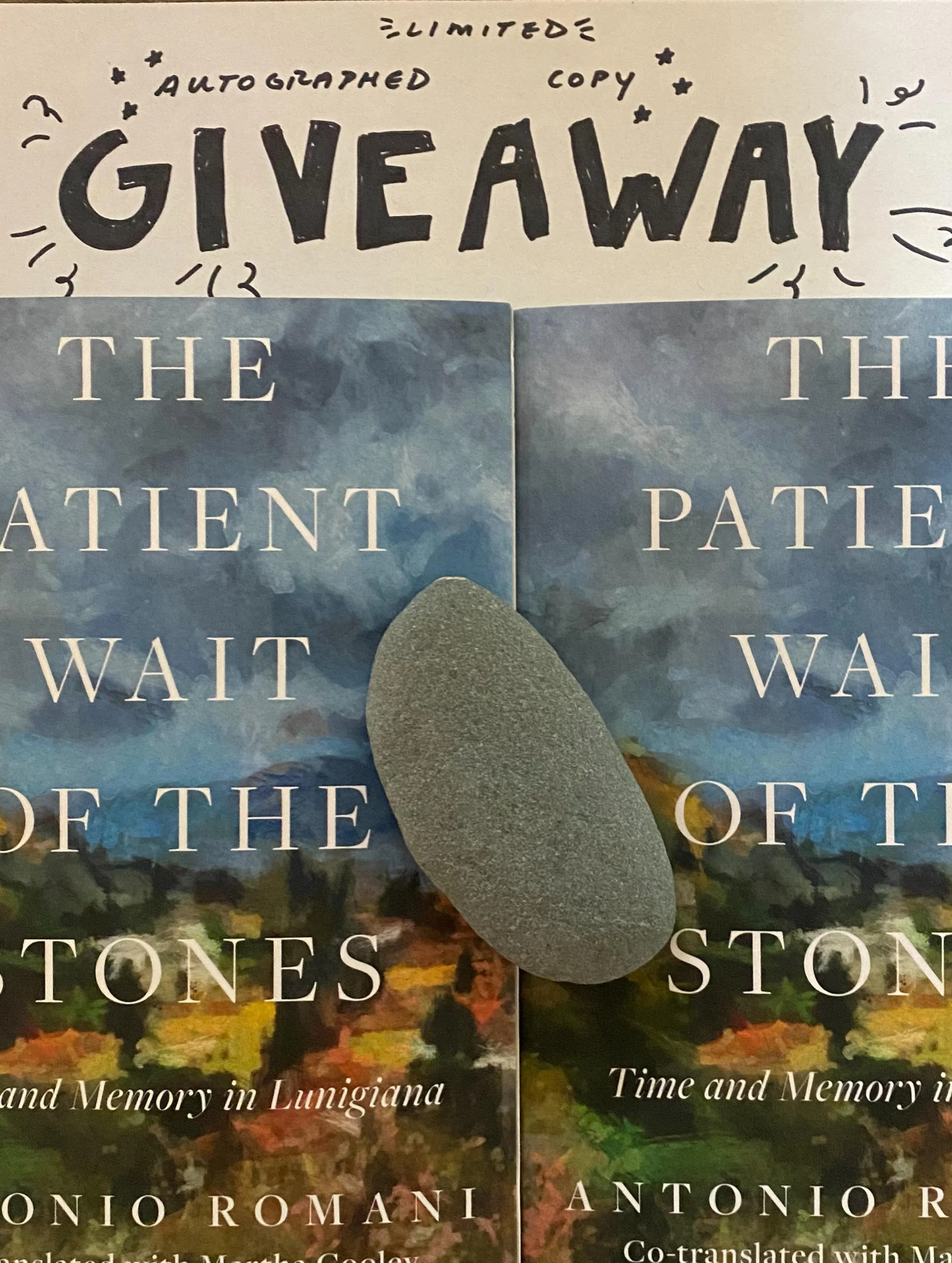 Want to win an autographed copy of The Patient Wait of the Stones? #giveaway 

All you have to do to enter is 1) post a photo related to one of the 5 themes and 2) tag us @galponpress 

We will be gifting 5 books over the next 10 days! 📚 Tomorrow is