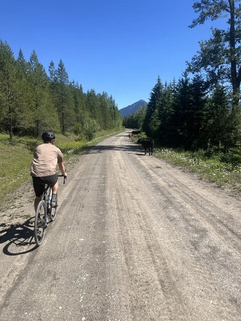 Gravel Bike Adventure (2 and 4-hour options)