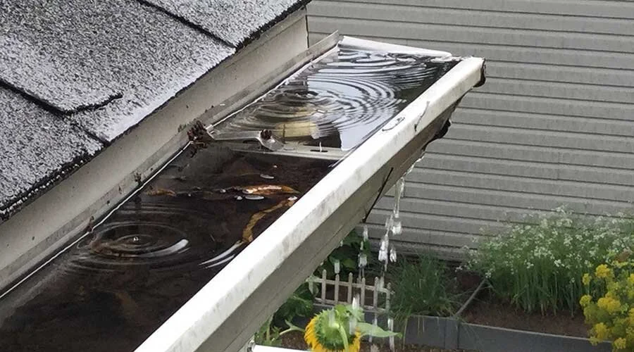 Close-up of a roof gutter filled with stagnant water, leaves, and debris, with water dripping from the gutter and a garden in the background.
