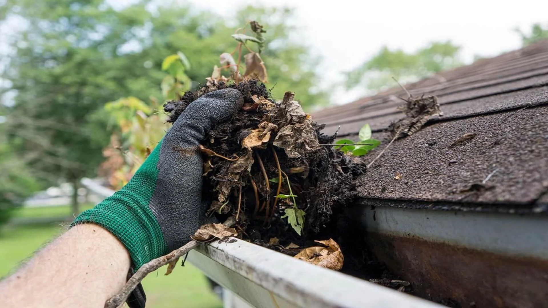 A person wearing a green glove cleaning out debris, leaves, and dirt from a roof gutter, with a background of trees and a cloudy sky.
