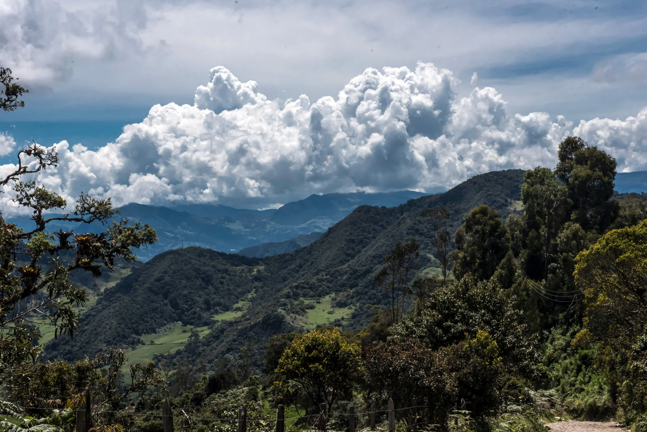 MAnantial view 3.jpg