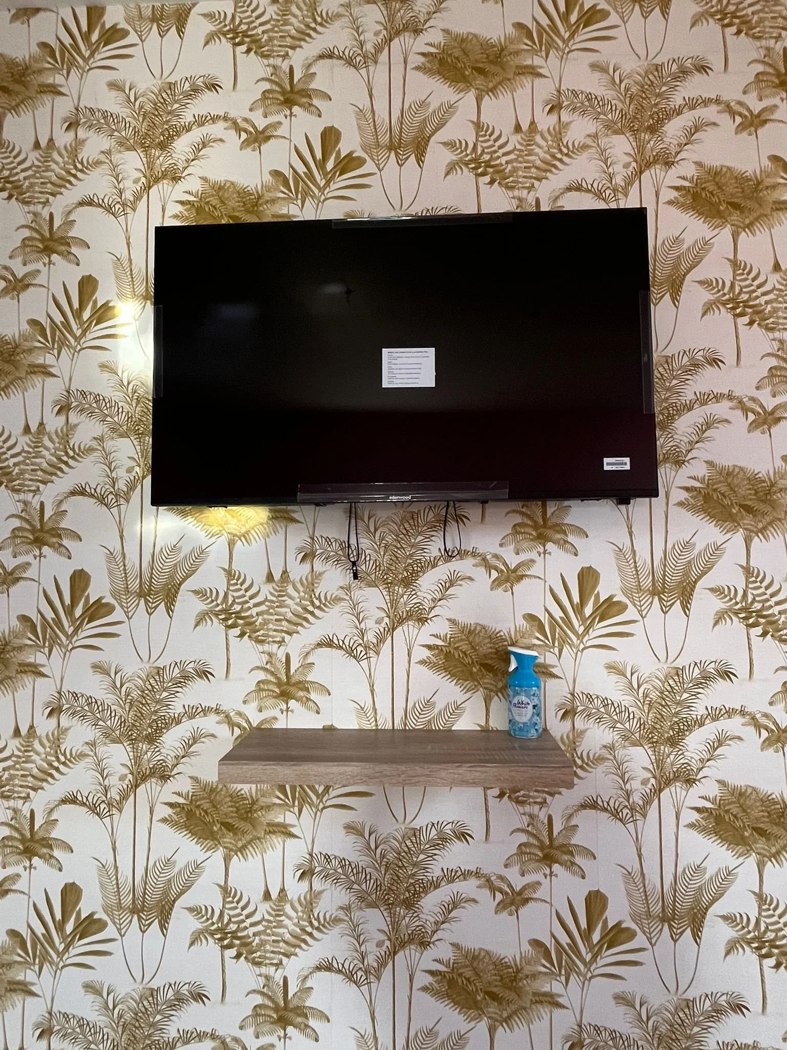 Télé - Les Ecureuils.jpeg