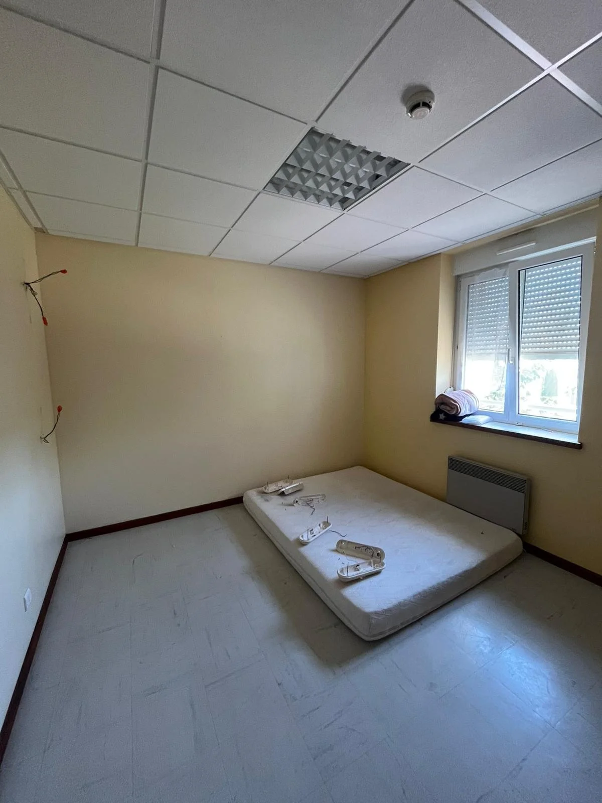 WhatsApp Image 2025-06-29 at 17.14.52 (7).jpeg