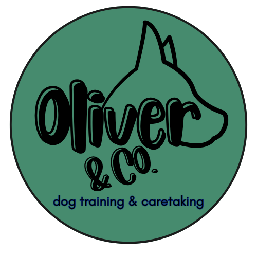 Oliver &amp; Co Dog Training