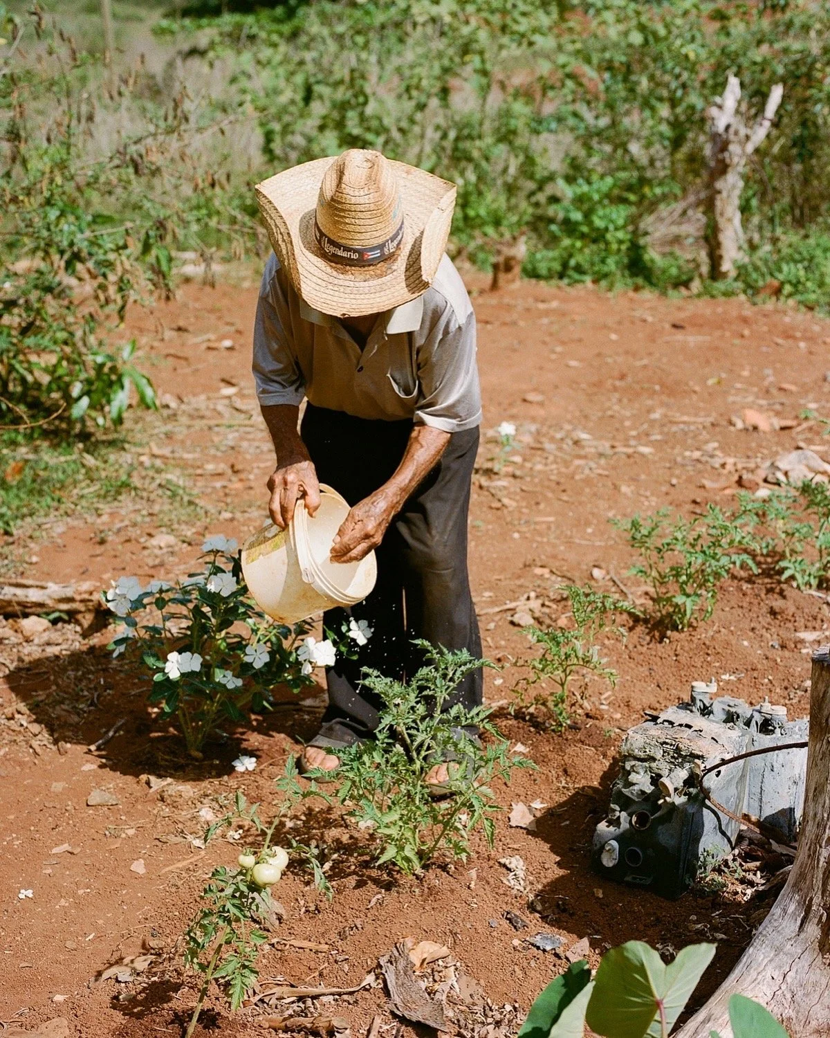 Viñales, Cuba