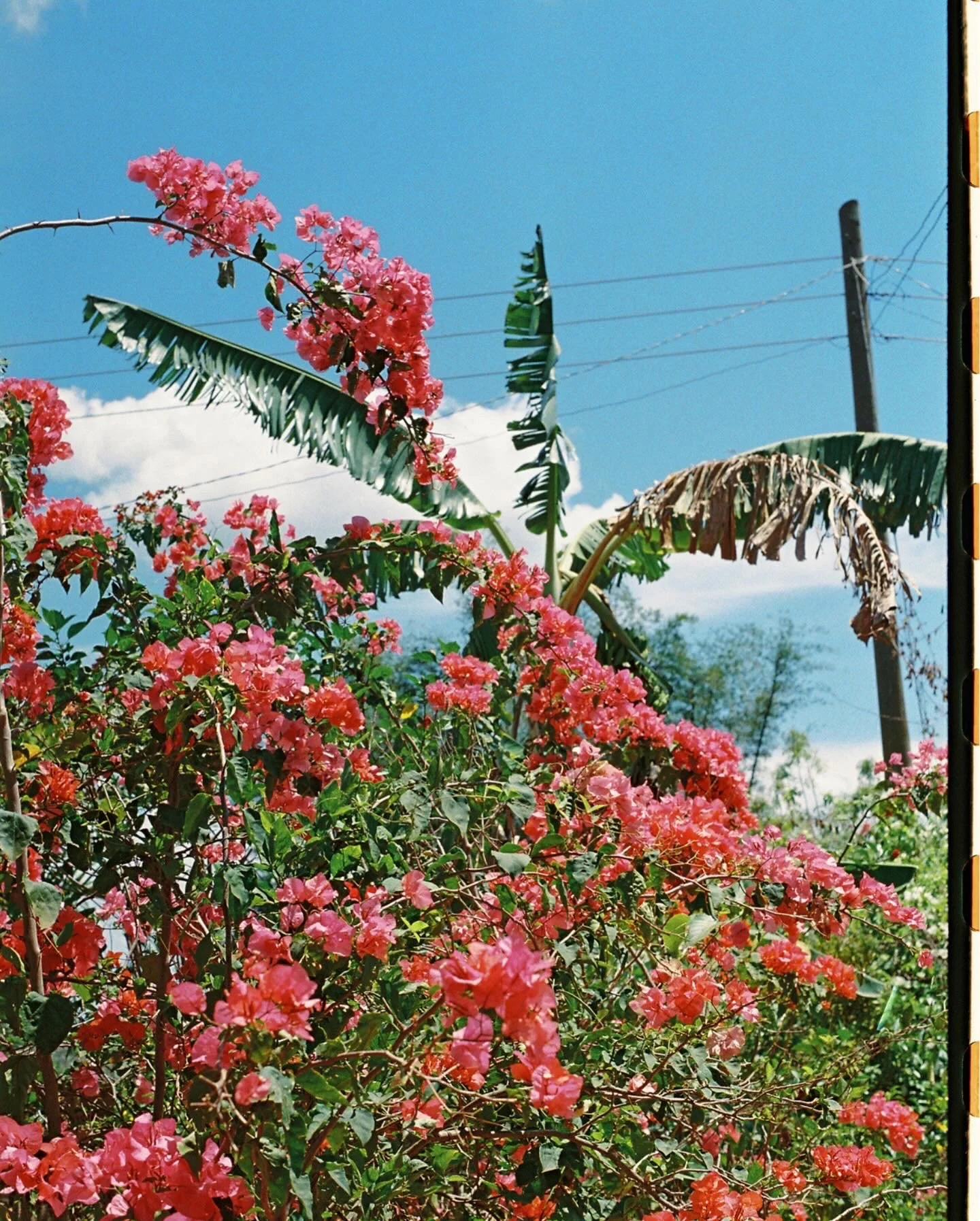 Viñales, Cuba